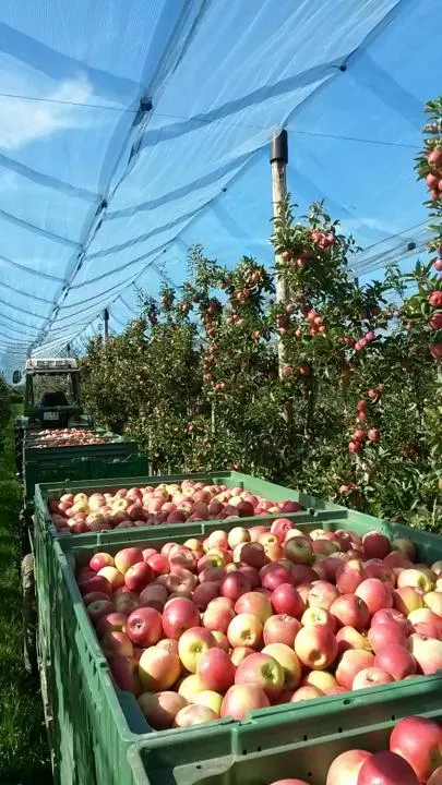 Natural landscape in Landgasthof Paradies