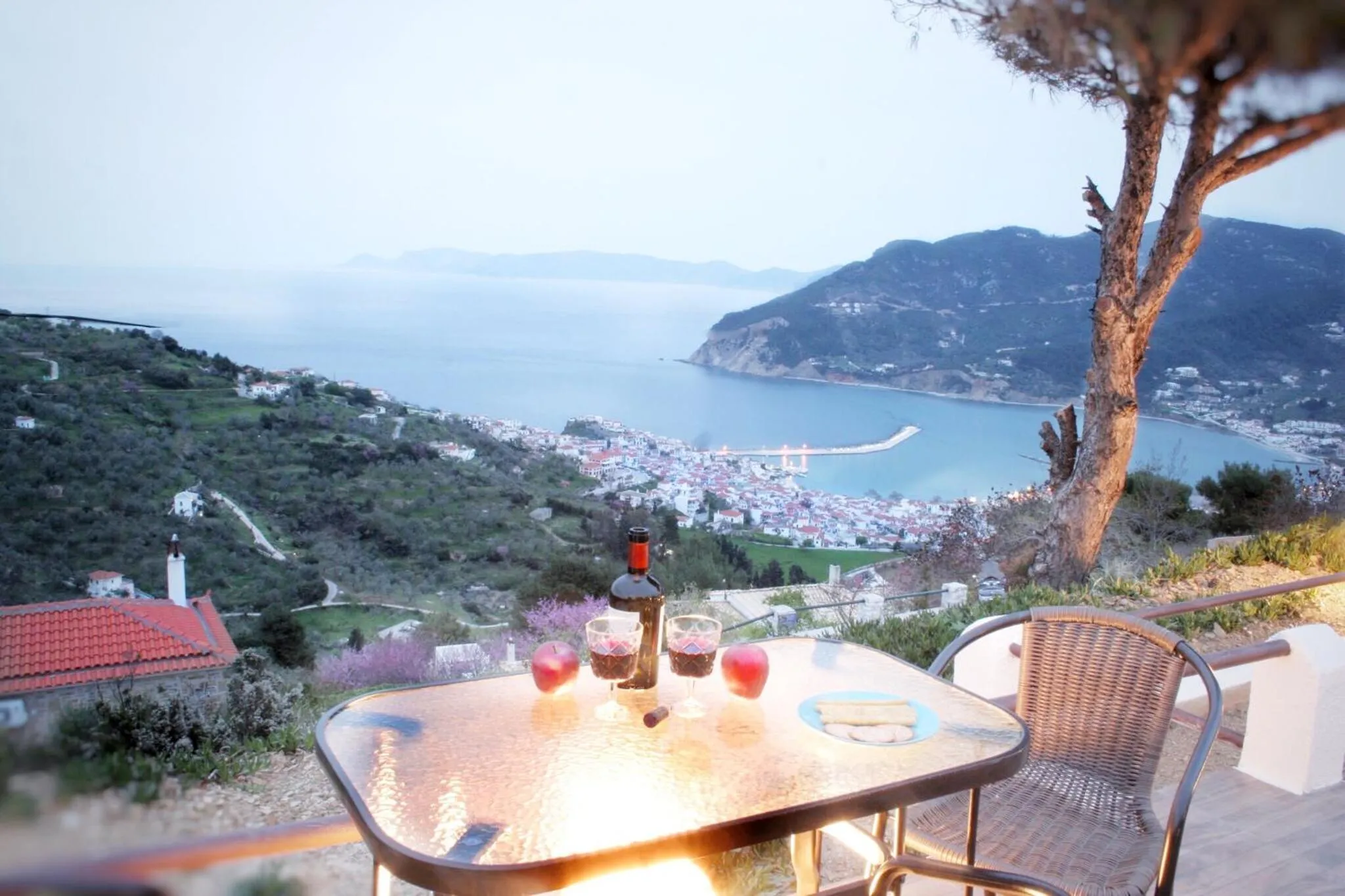 Garden in Villa Savvina