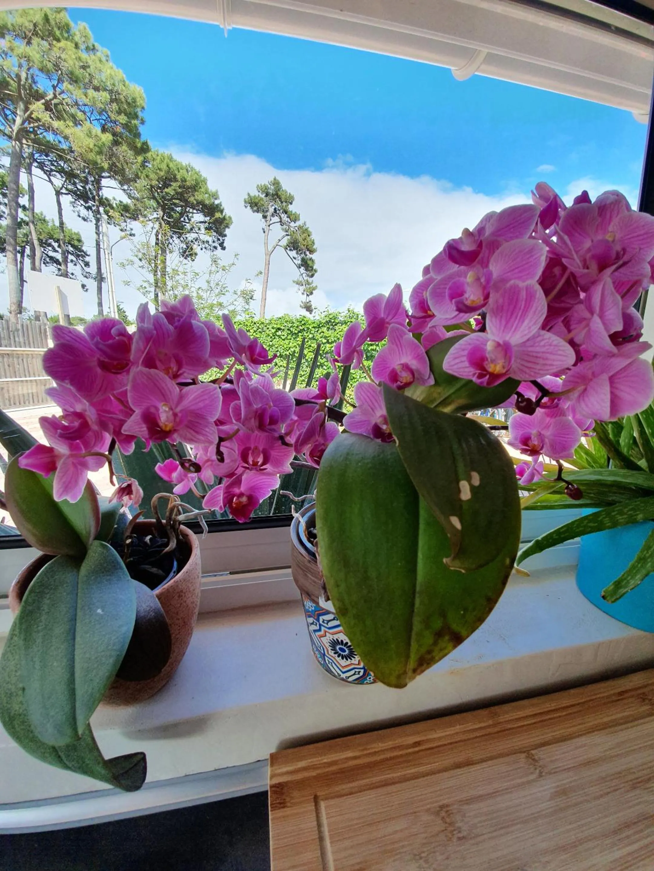 Other in La Maison Bisca