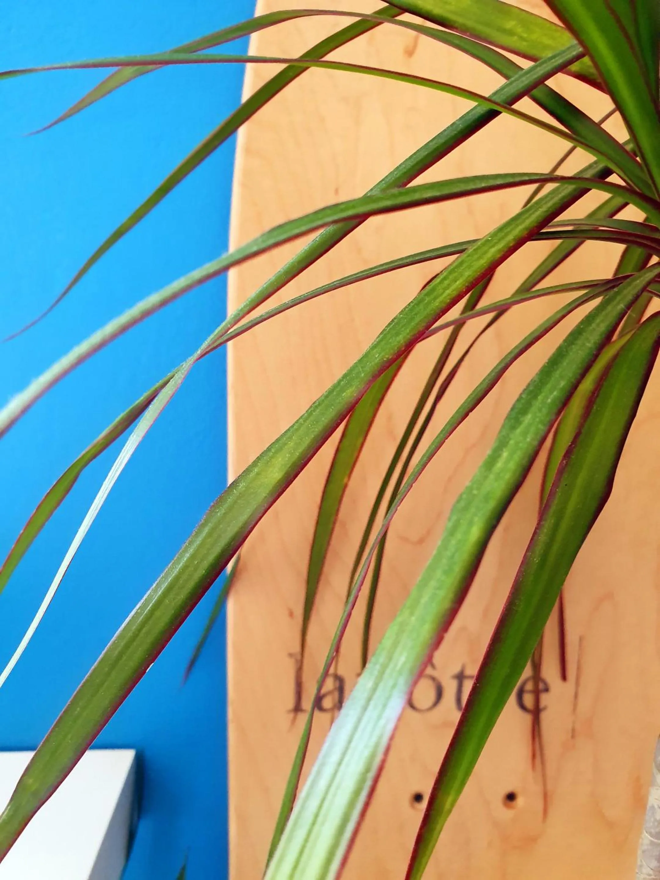 Other in La Maison Bisca