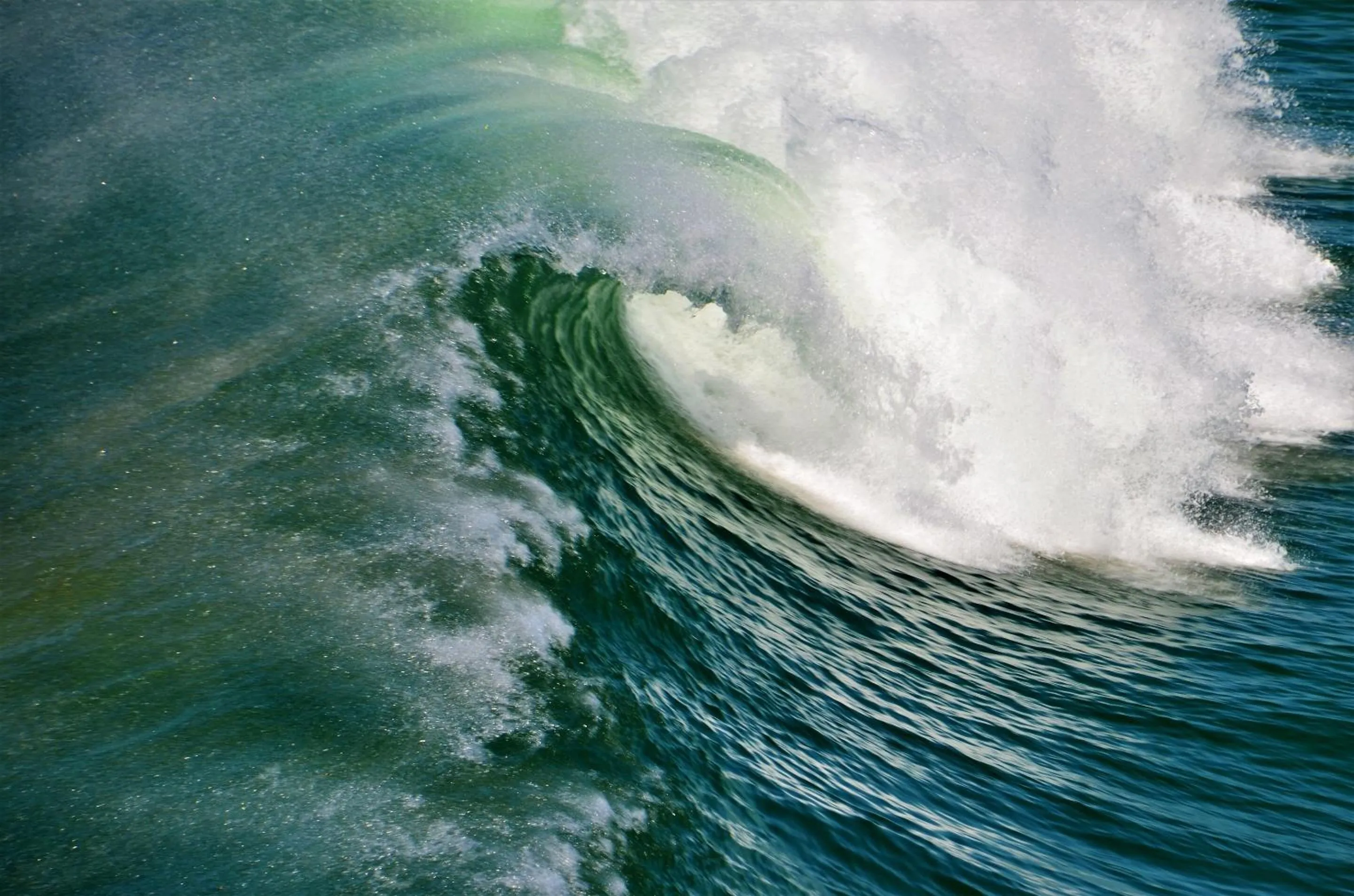 Activities in La Maison Bisca