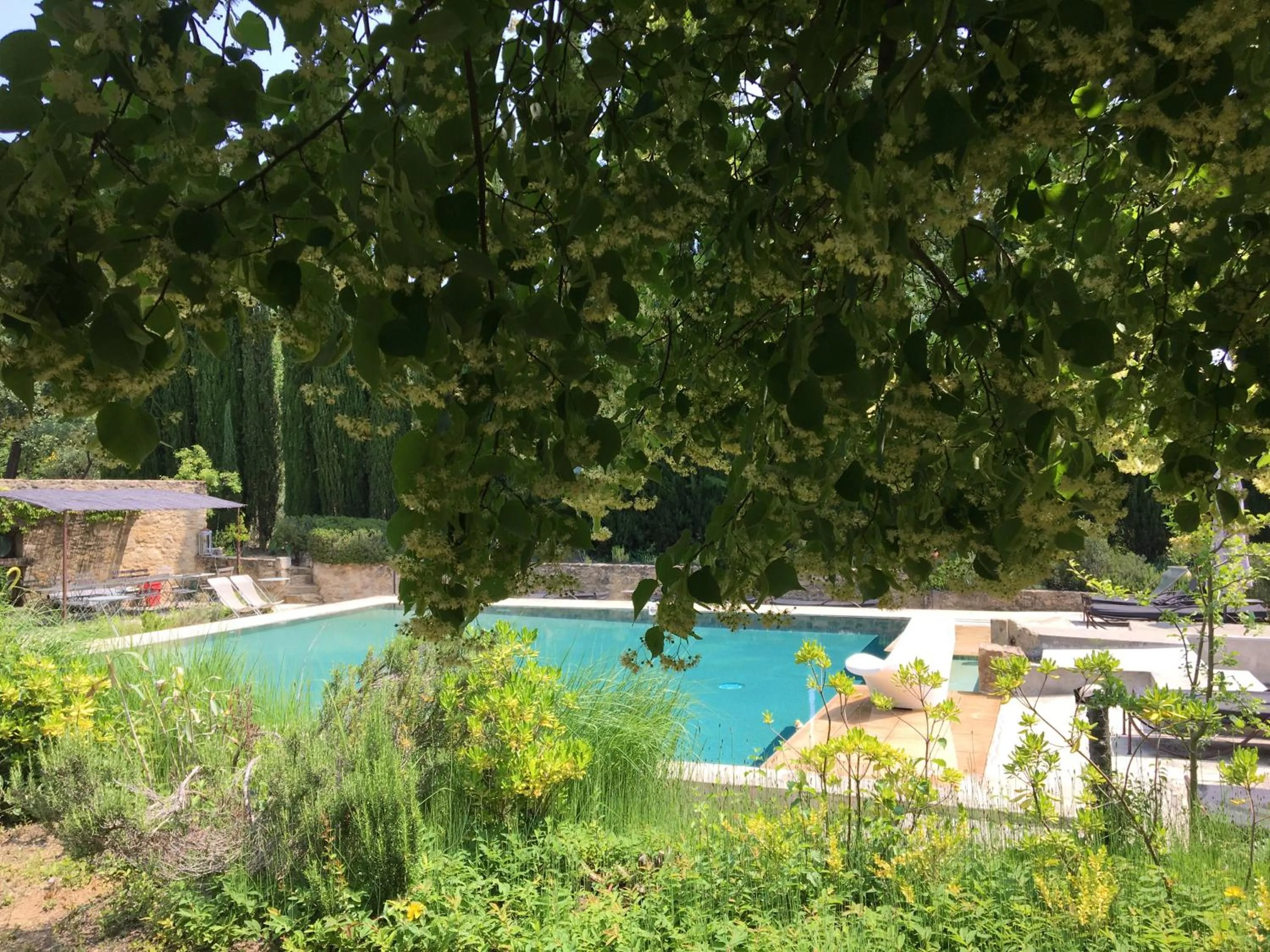 Garden in B&B Chambre de Julie Le Jardin
