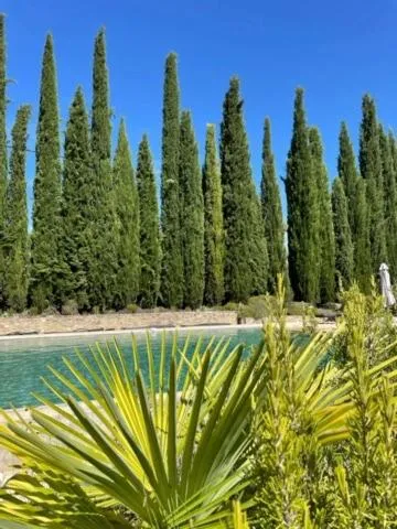 Natural landscape in B&B Chambre de Julie Le Jardin