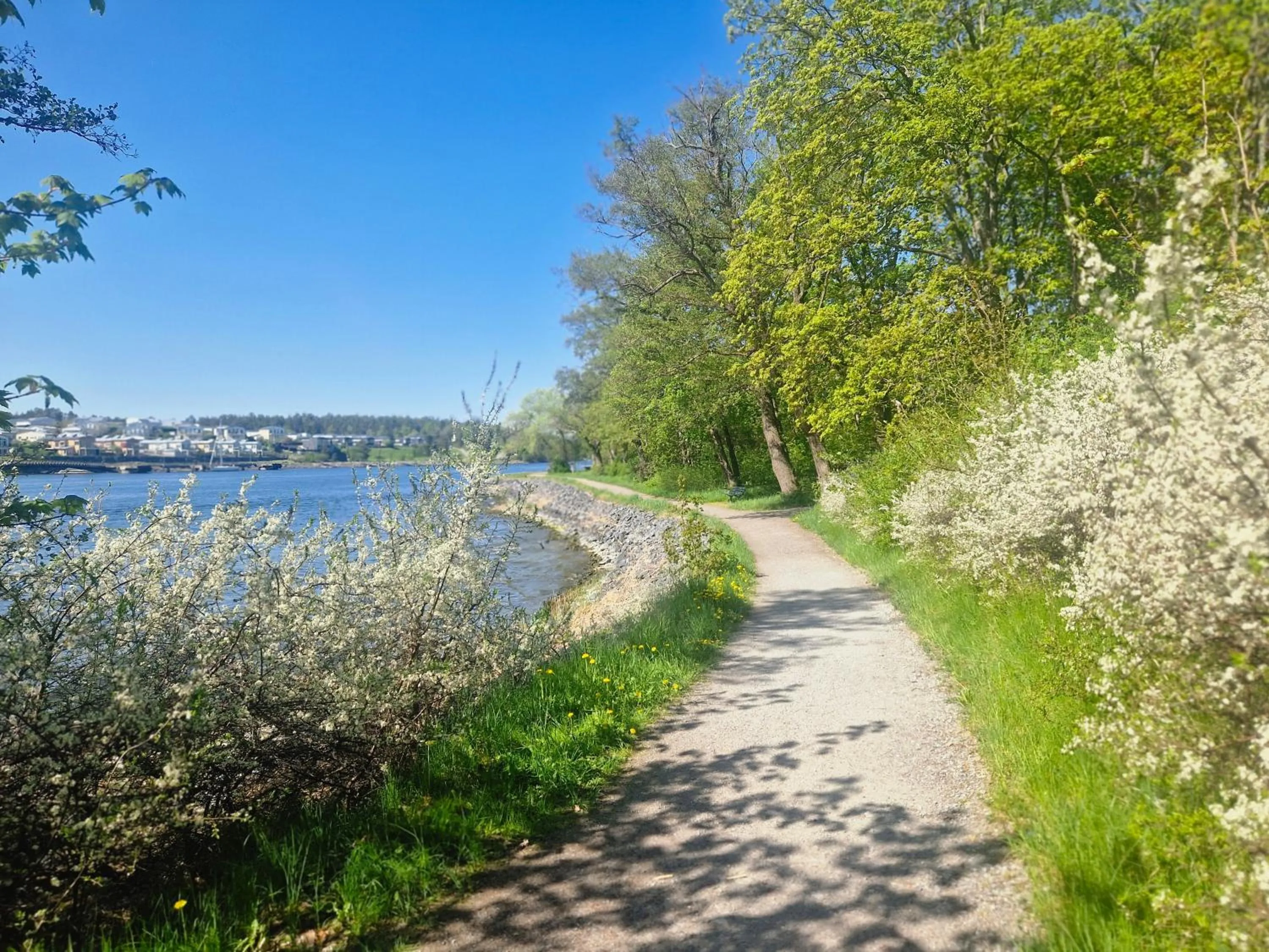 Hiking in Skogshem & Wijk