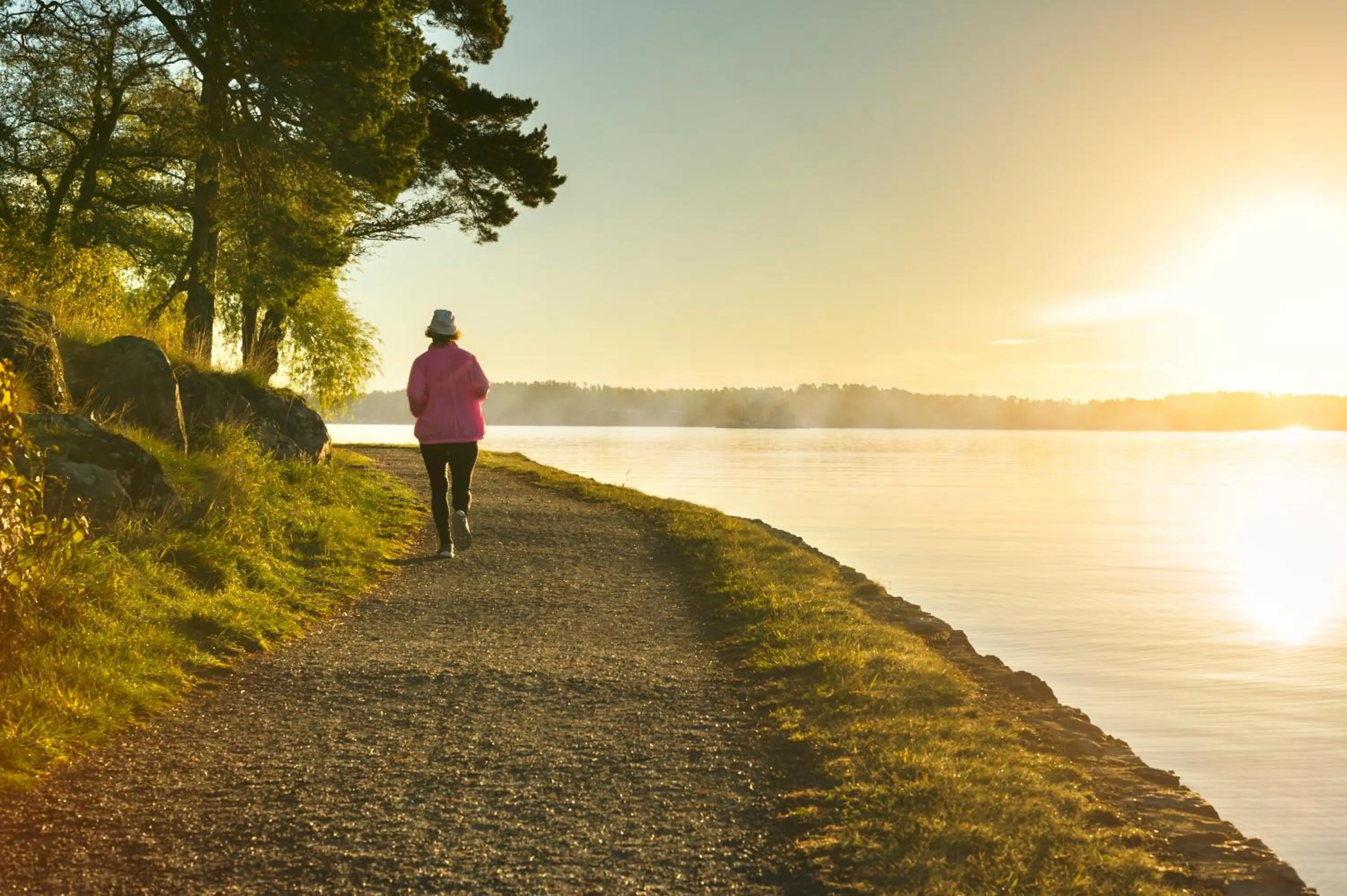 Natural landscape in Skogshem & Wijk