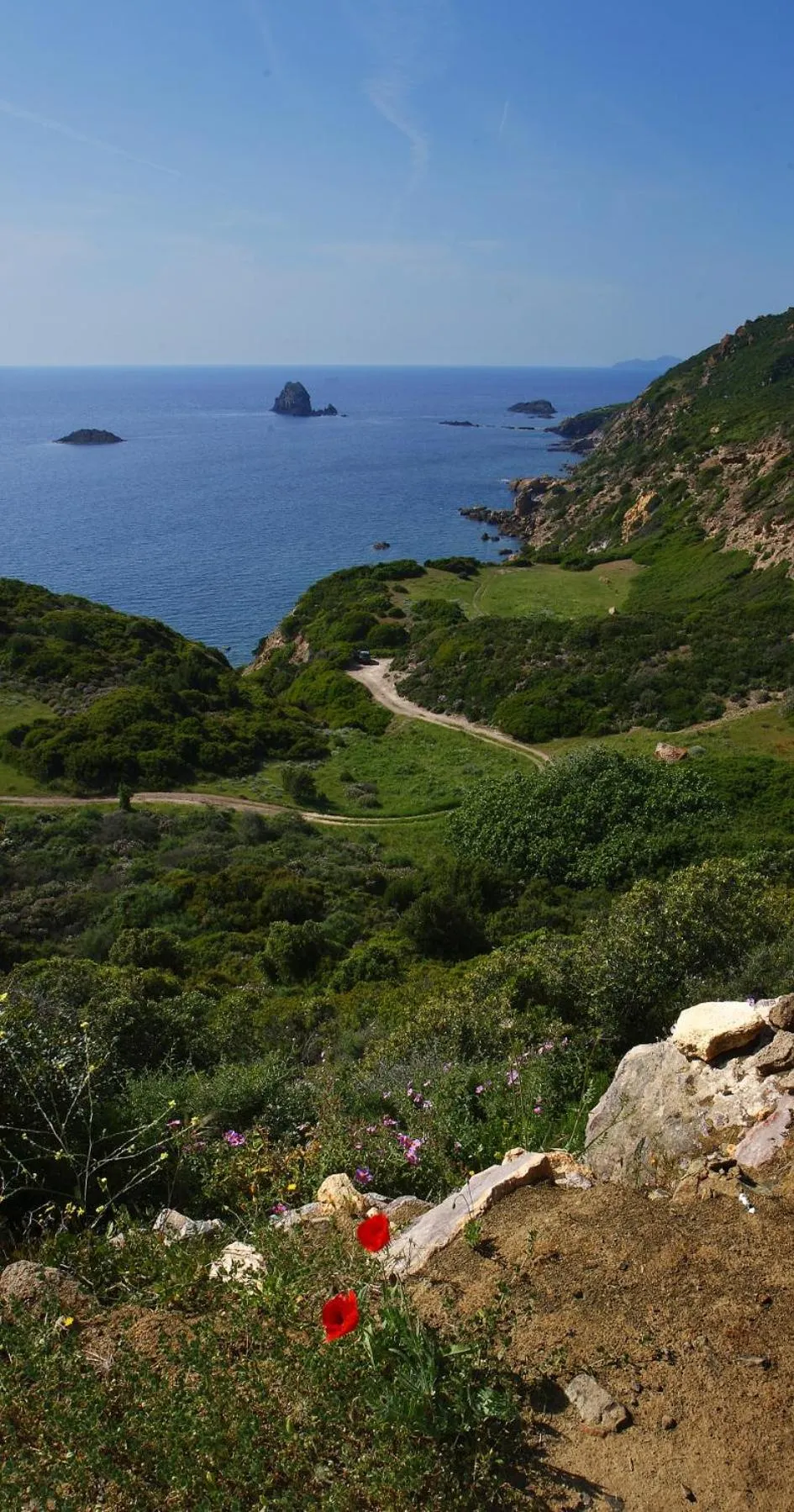 Natural landscape in Hotel Villa Gli Asfodeli