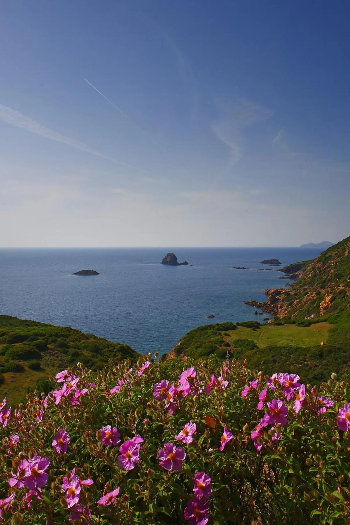 Natural landscape in Hotel Villa Gli Asfodeli