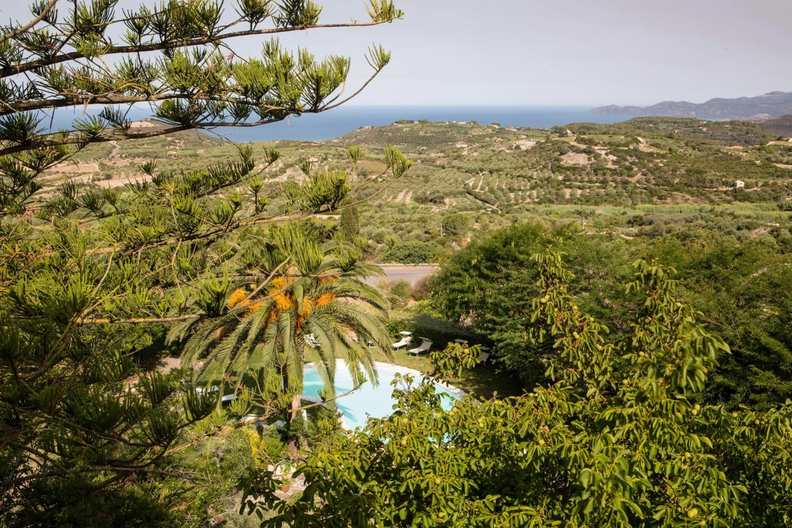 Garden in Hotel Villa Gli Asfodeli