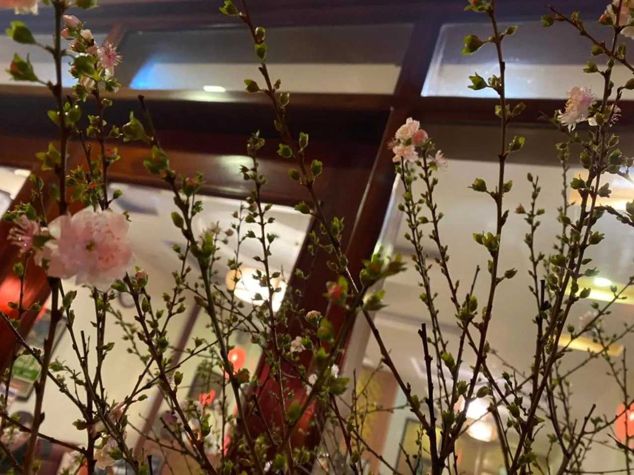 Communal lounge/ TV room in Sapa Garden Hotel