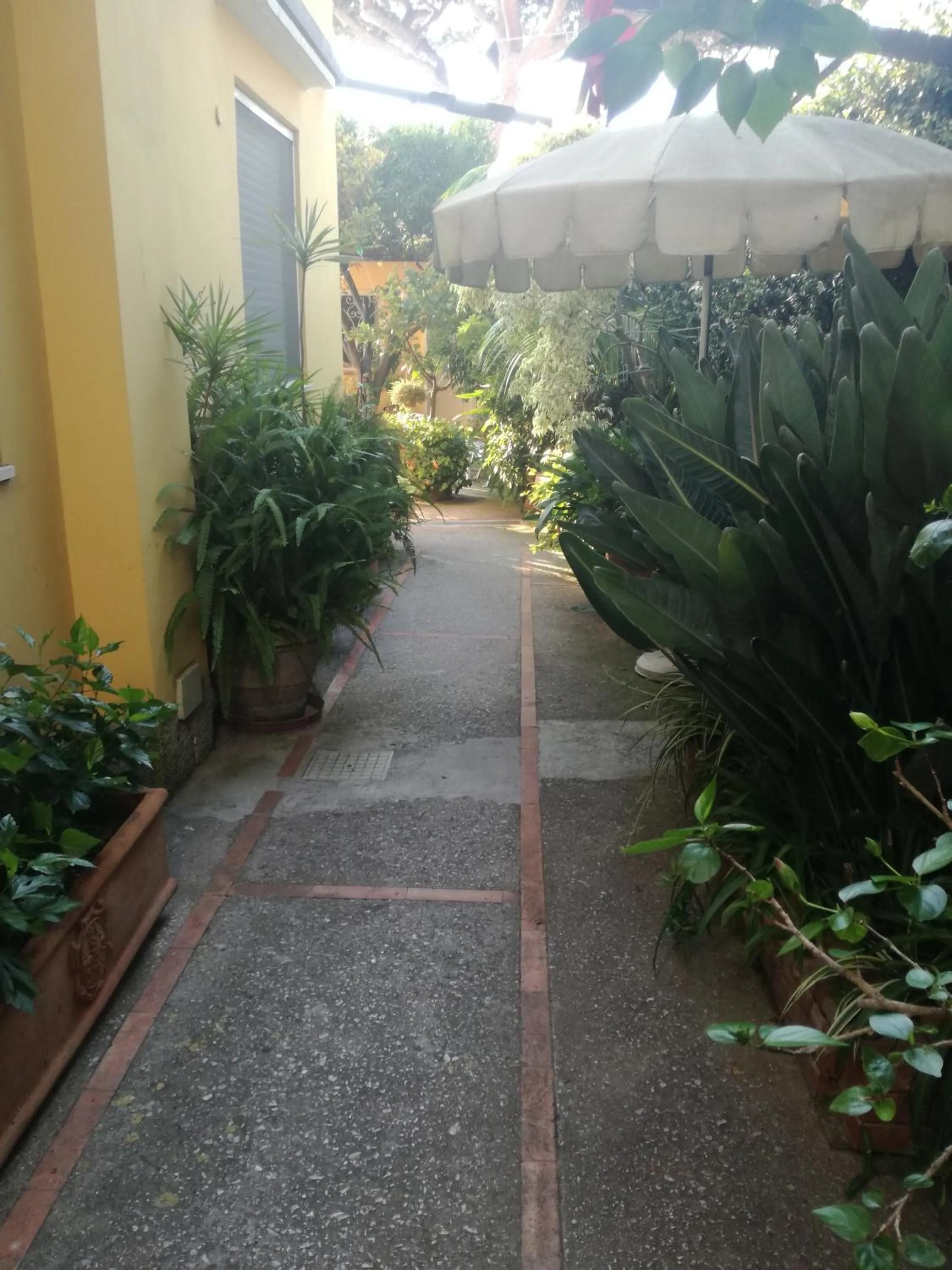 Neighbourhood in B&B Punta Vivara