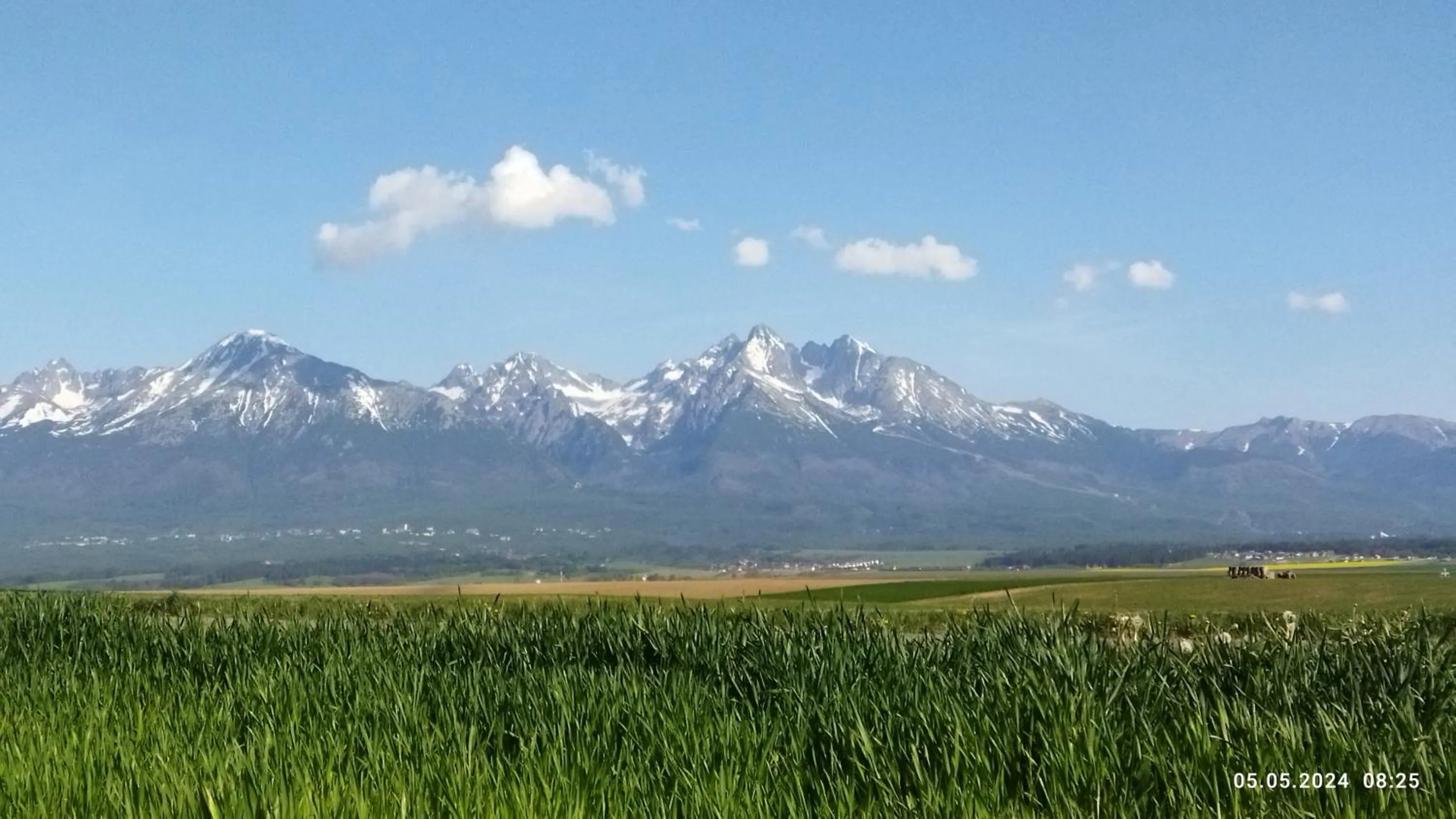 Natural landscape in Lucky Cat