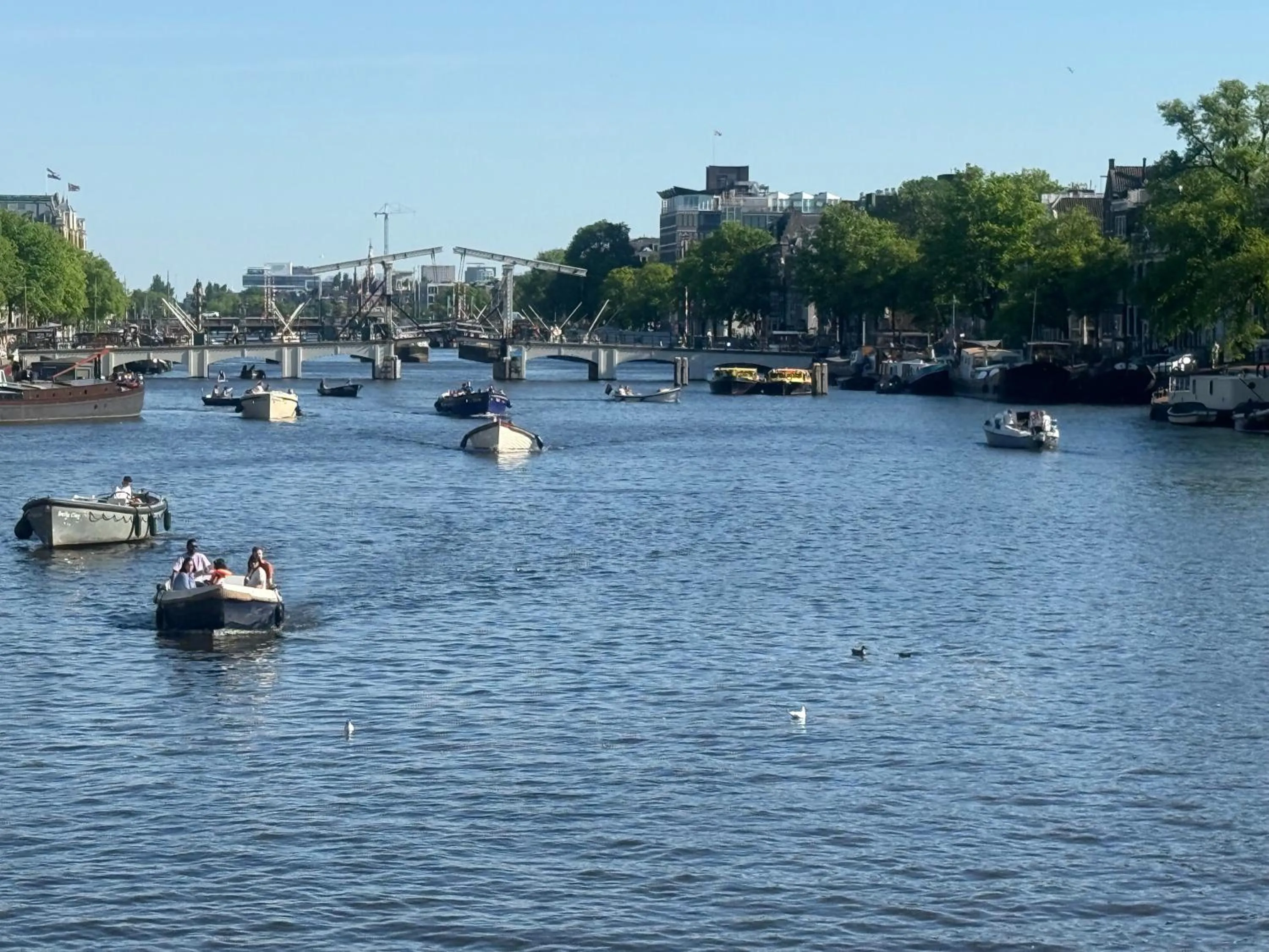 Natural landscape in JoyJoyJoy the Black Beauty ecolicious studio in a canal house with French balcony with view on the canals