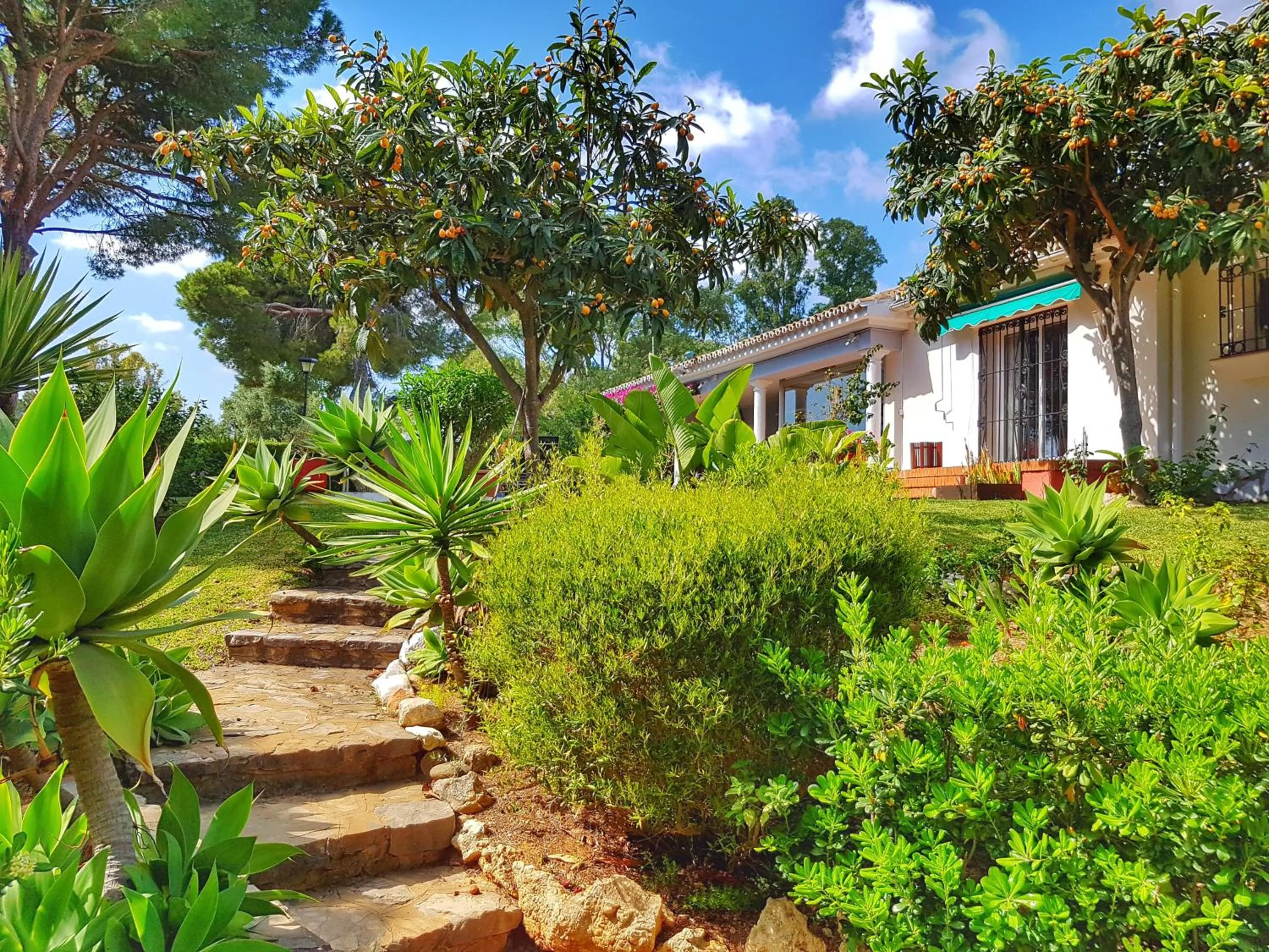 Garden view, Property Building in El Nácar Bed & Breakfast