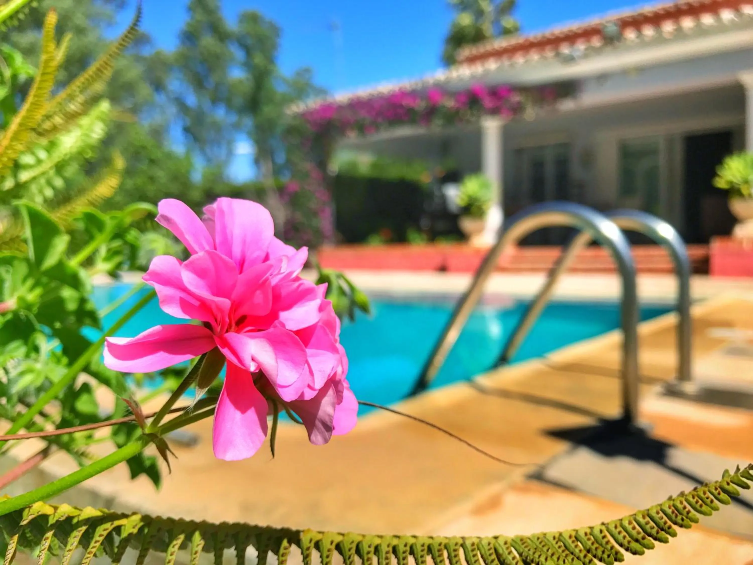 Pool view, Swimming Pool in El Nácar Bed & Breakfast