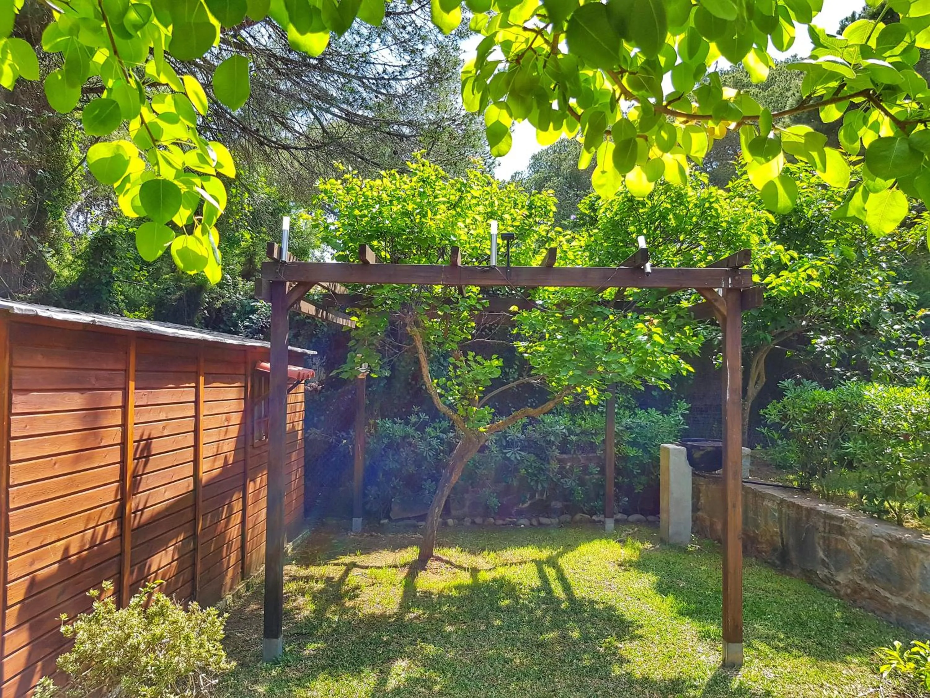 Garden view in El Nácar Bed & Breakfast