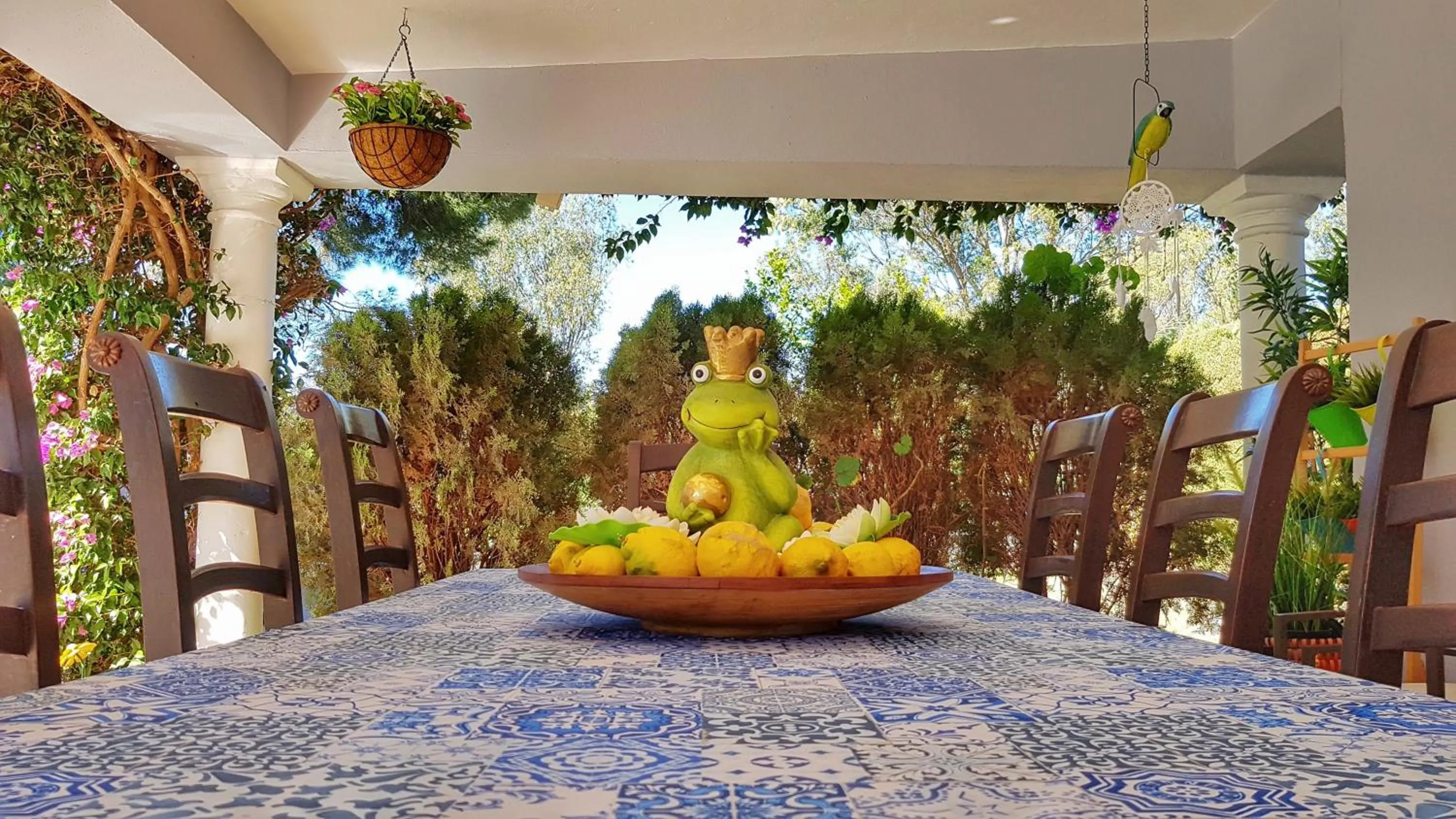 Garden in El Nácar Bed & Breakfast