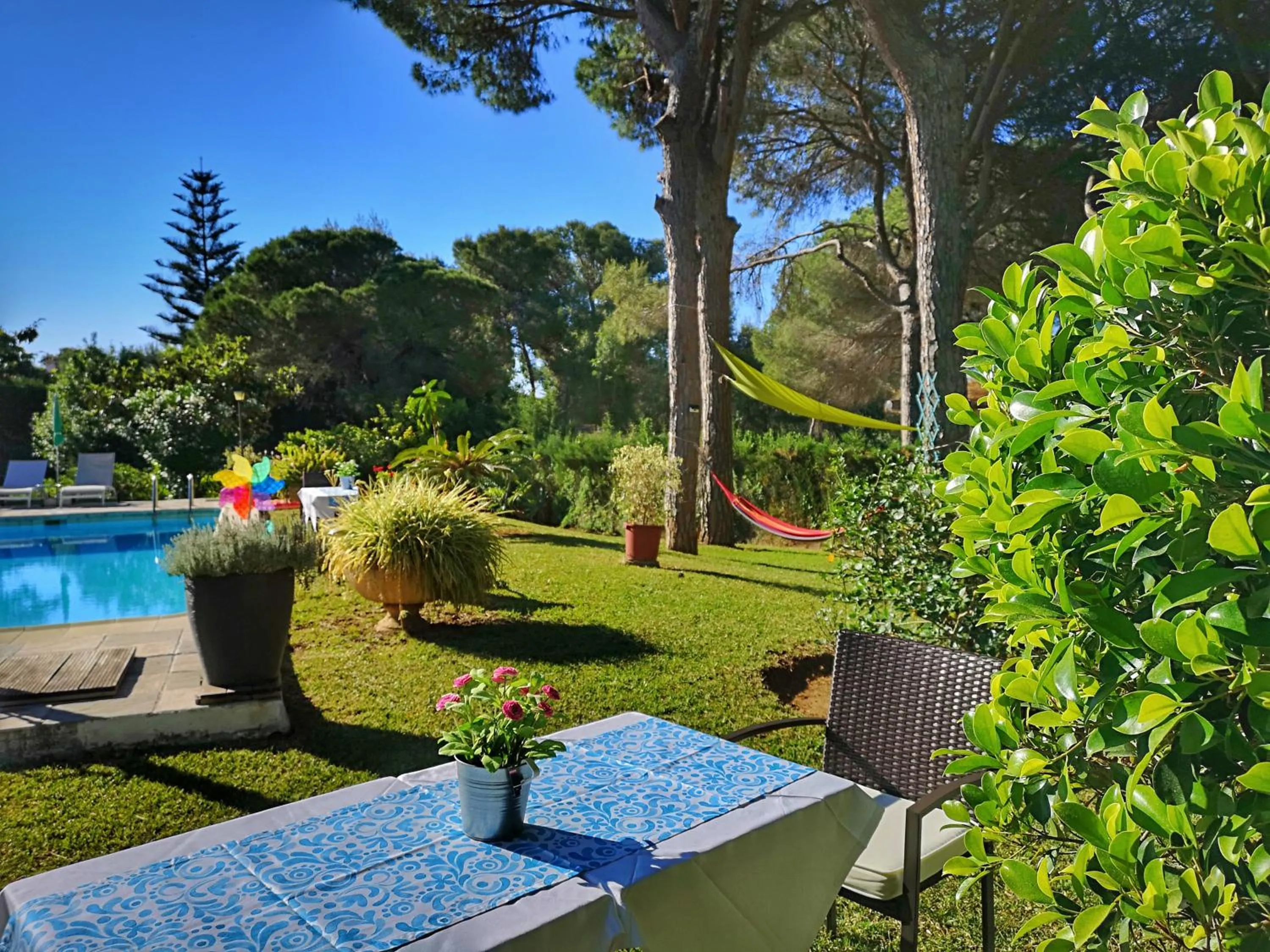 Garden, Swimming Pool in El Nácar Bed & Breakfast