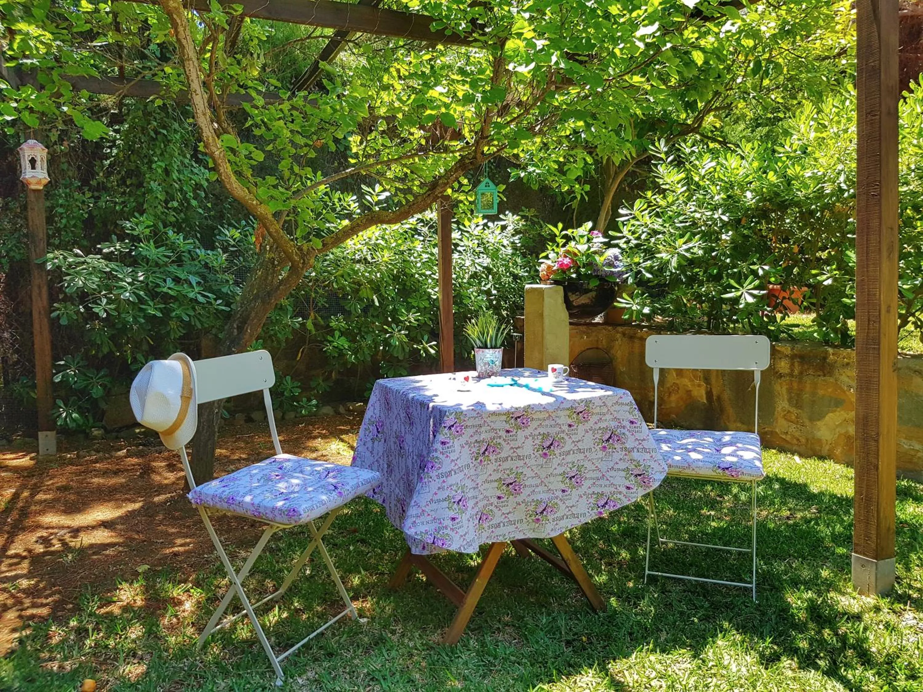 Garden view in El Nácar Bed & Breakfast