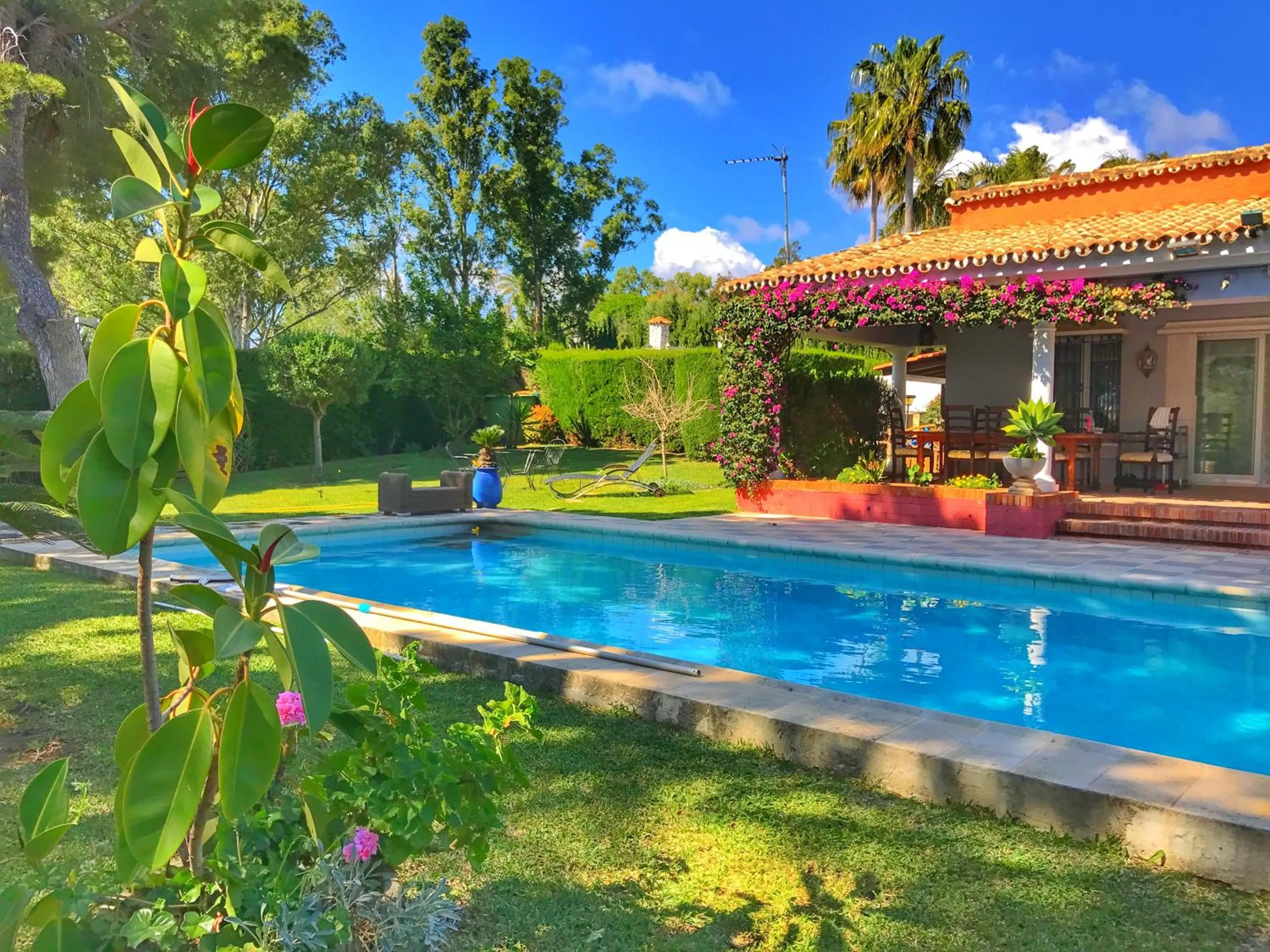 Pool view, Swimming Pool in El Nácar Bed & Breakfast