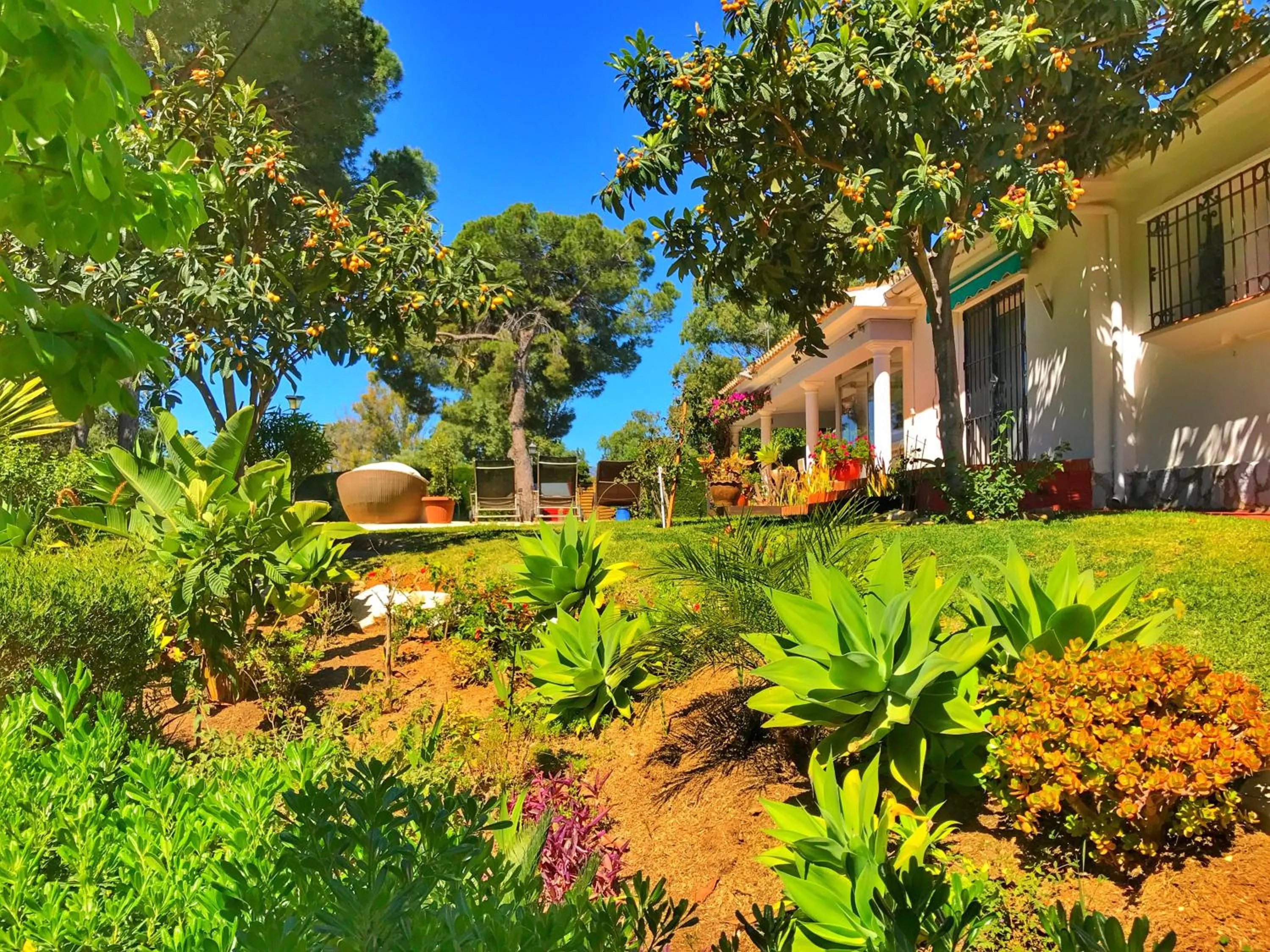 Garden view, Garden in El Nácar Bed & Breakfast