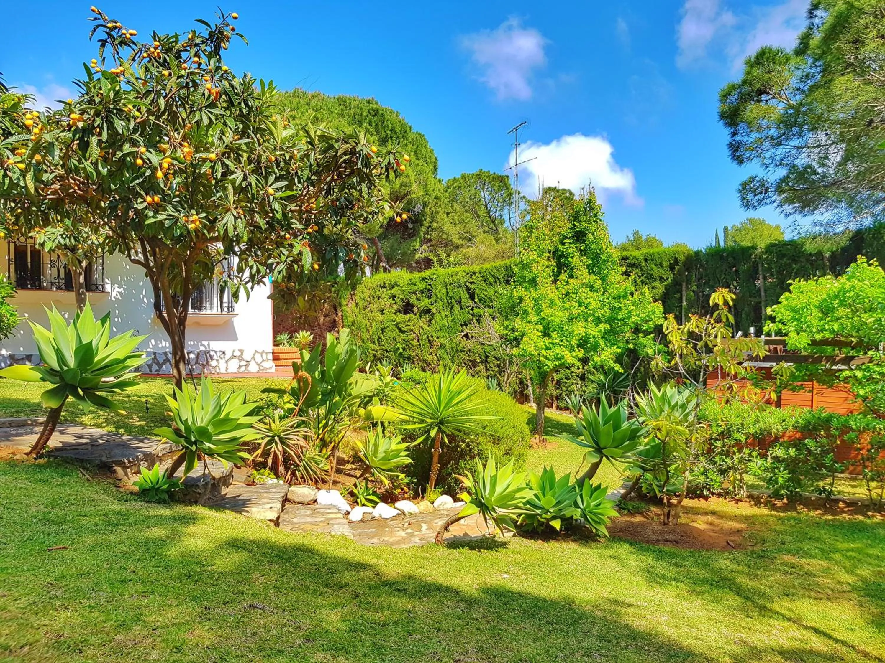 Garden view, Garden in El Nácar Bed & Breakfast