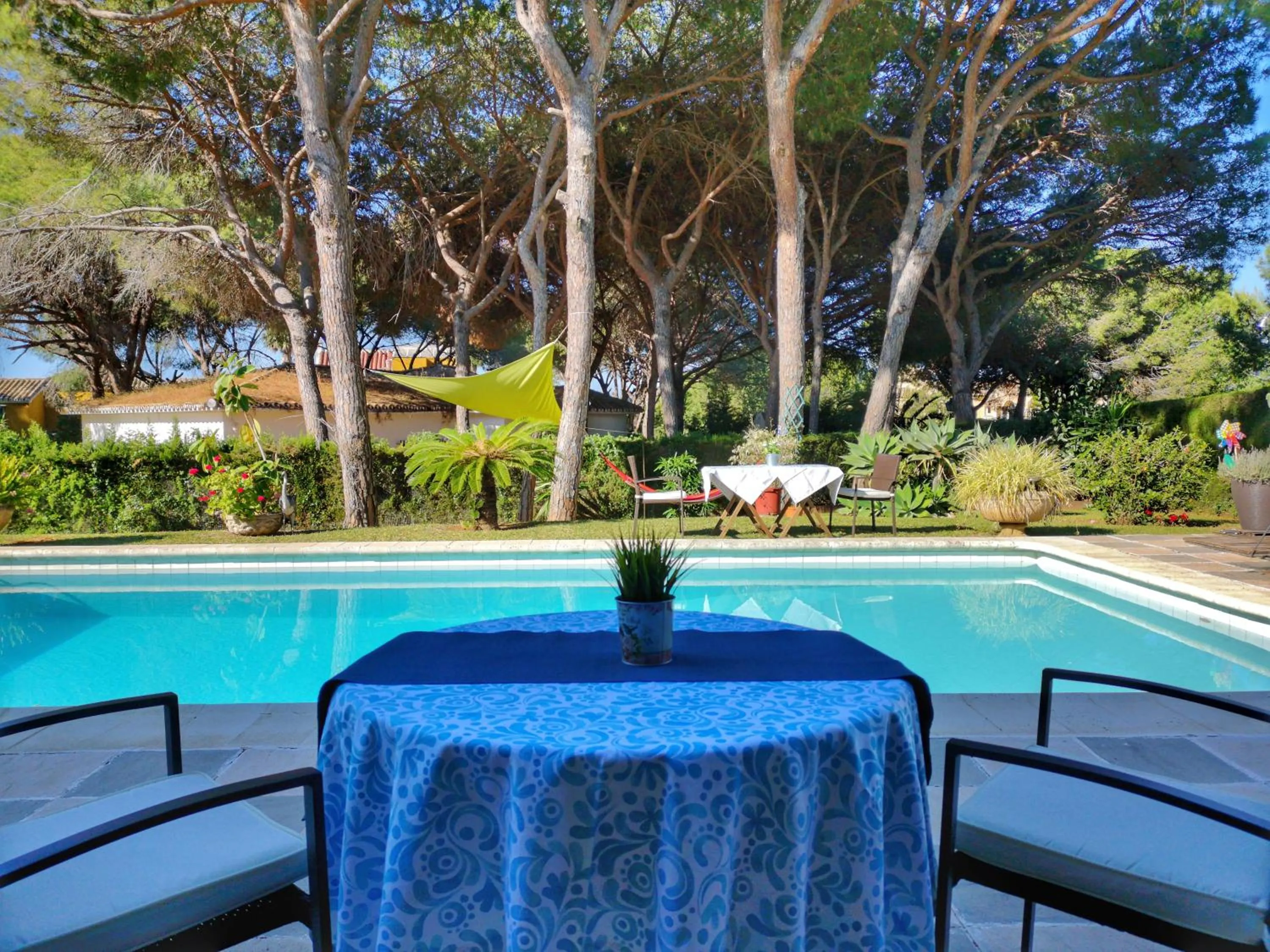 Garden, Swimming Pool in El Nácar Bed & Breakfast