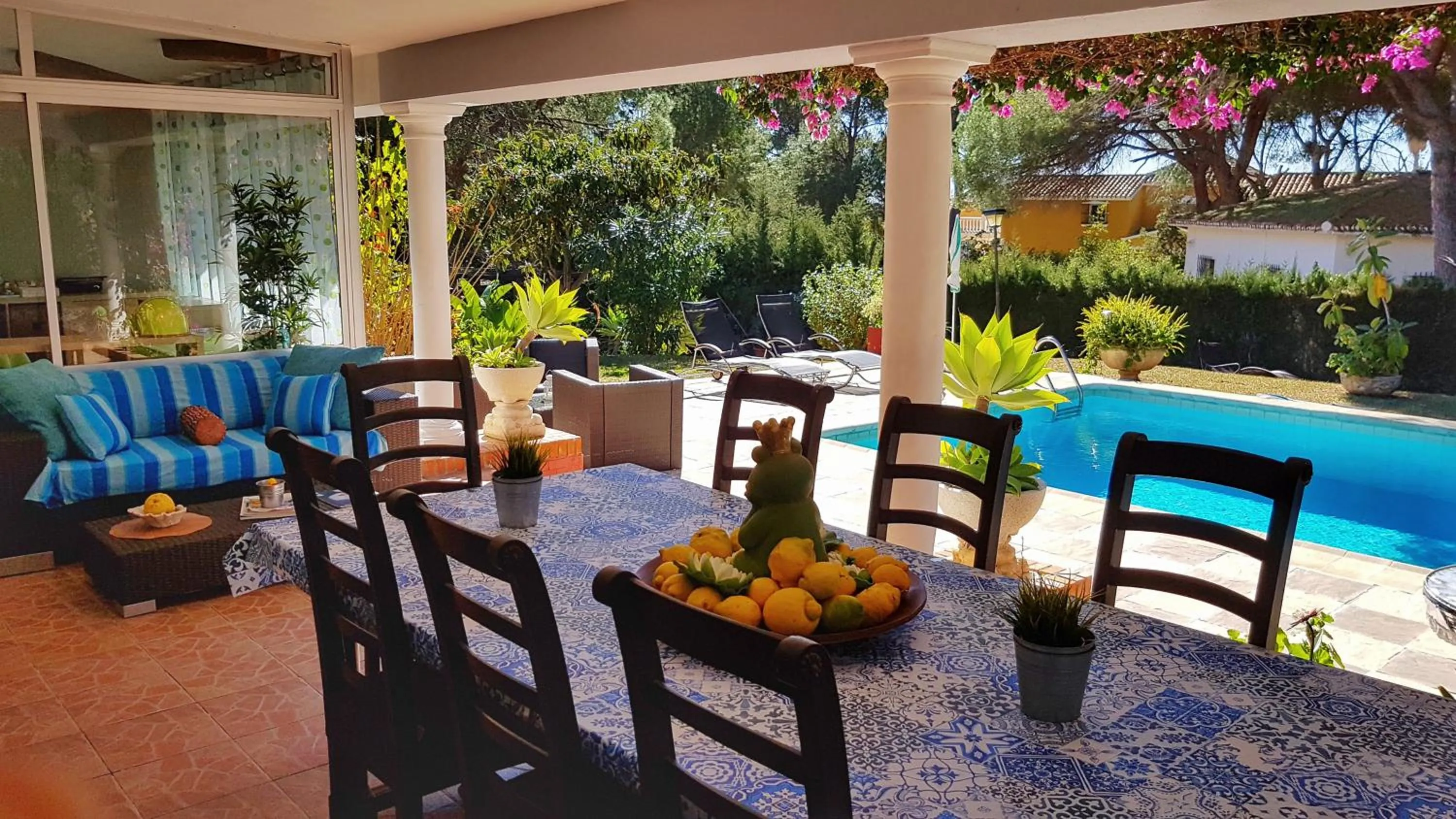 Garden view in El Nácar Bed & Breakfast