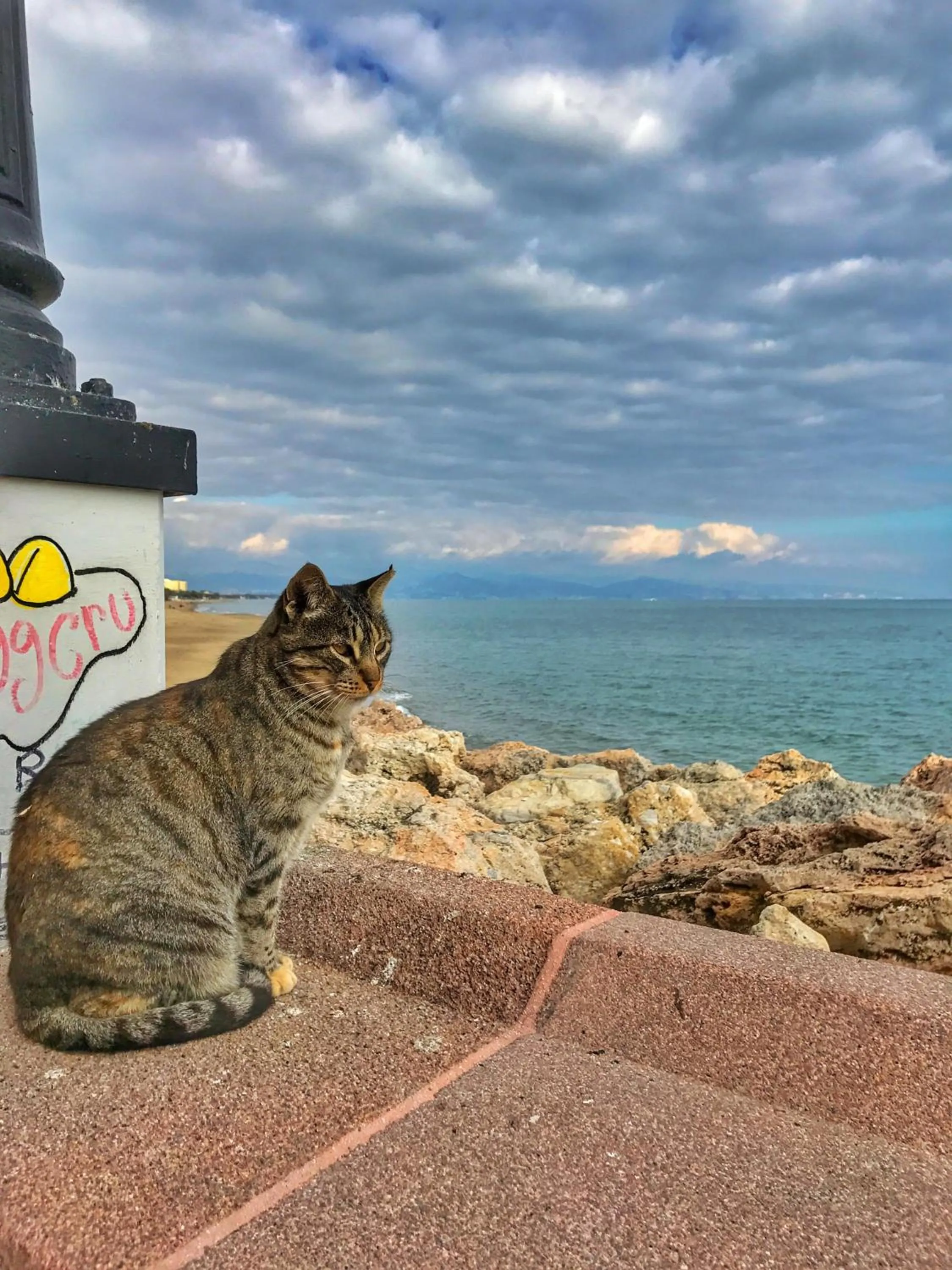 Natural landscape, Pets in El Nácar Bed & Breakfast