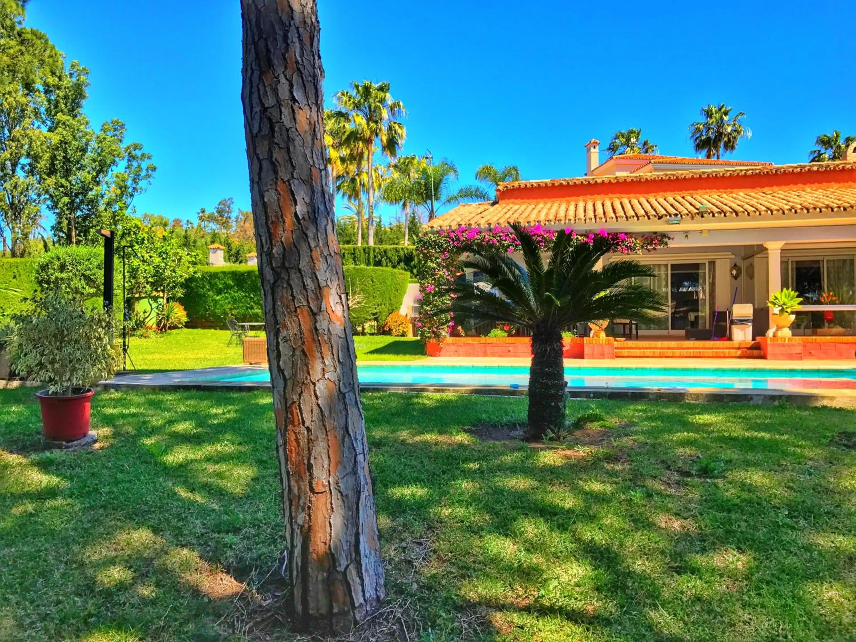 Pool view, Swimming Pool in El Nácar Bed & Breakfast