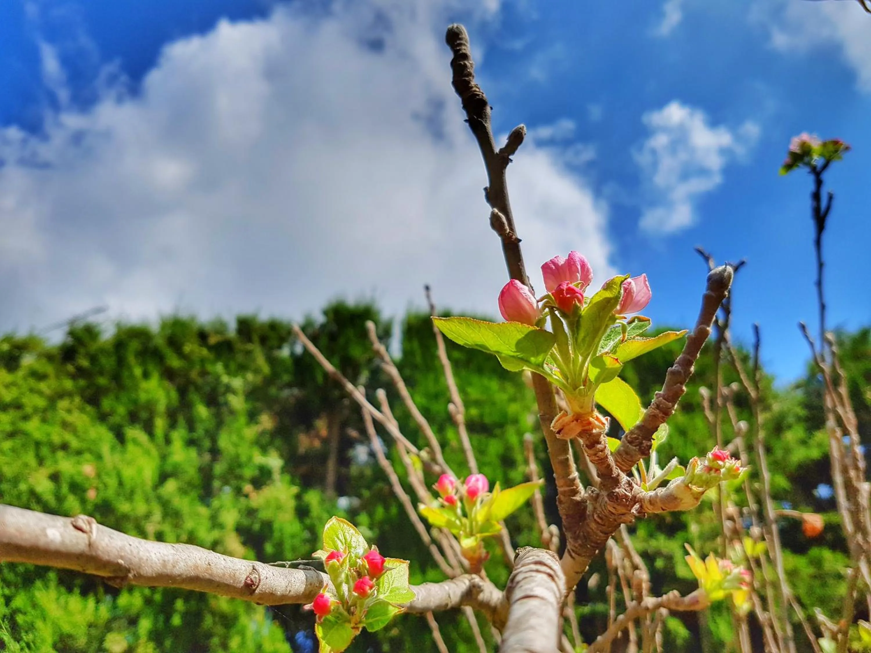 Decorative detail in El Nácar Bed & Breakfast