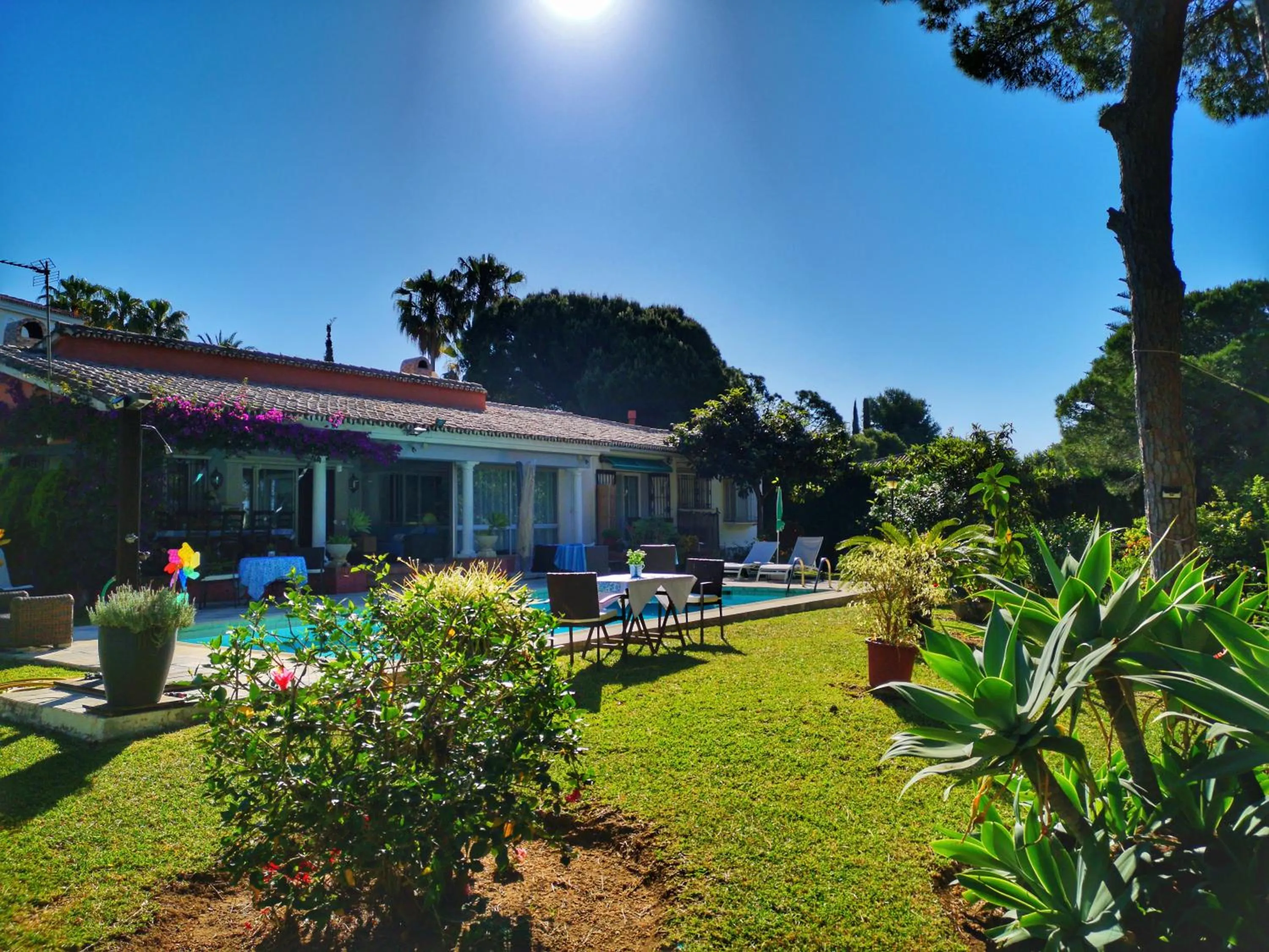 Garden, Property Building in El Nácar Bed & Breakfast