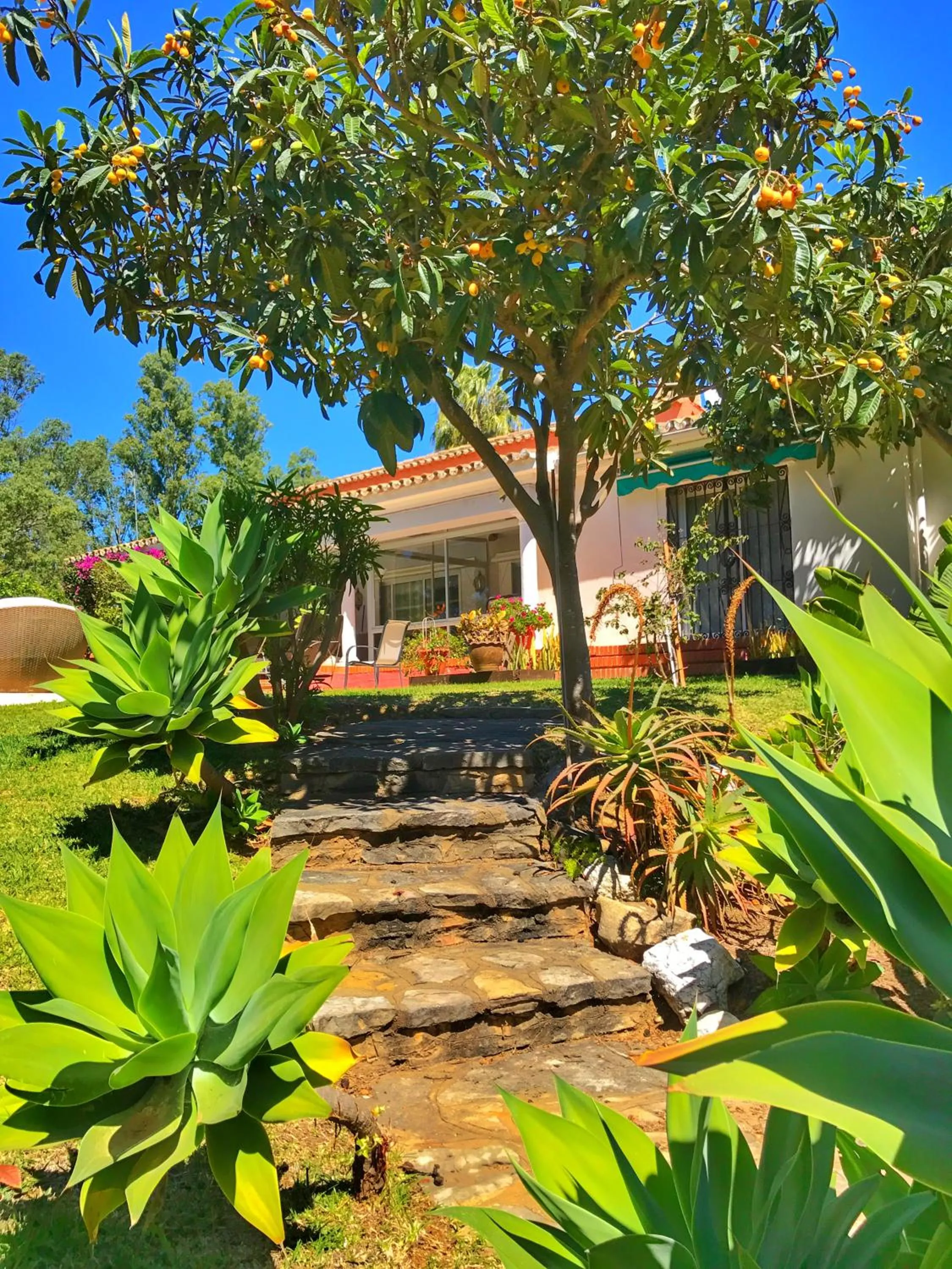 Garden view, Property Building in El Nácar Bed & Breakfast