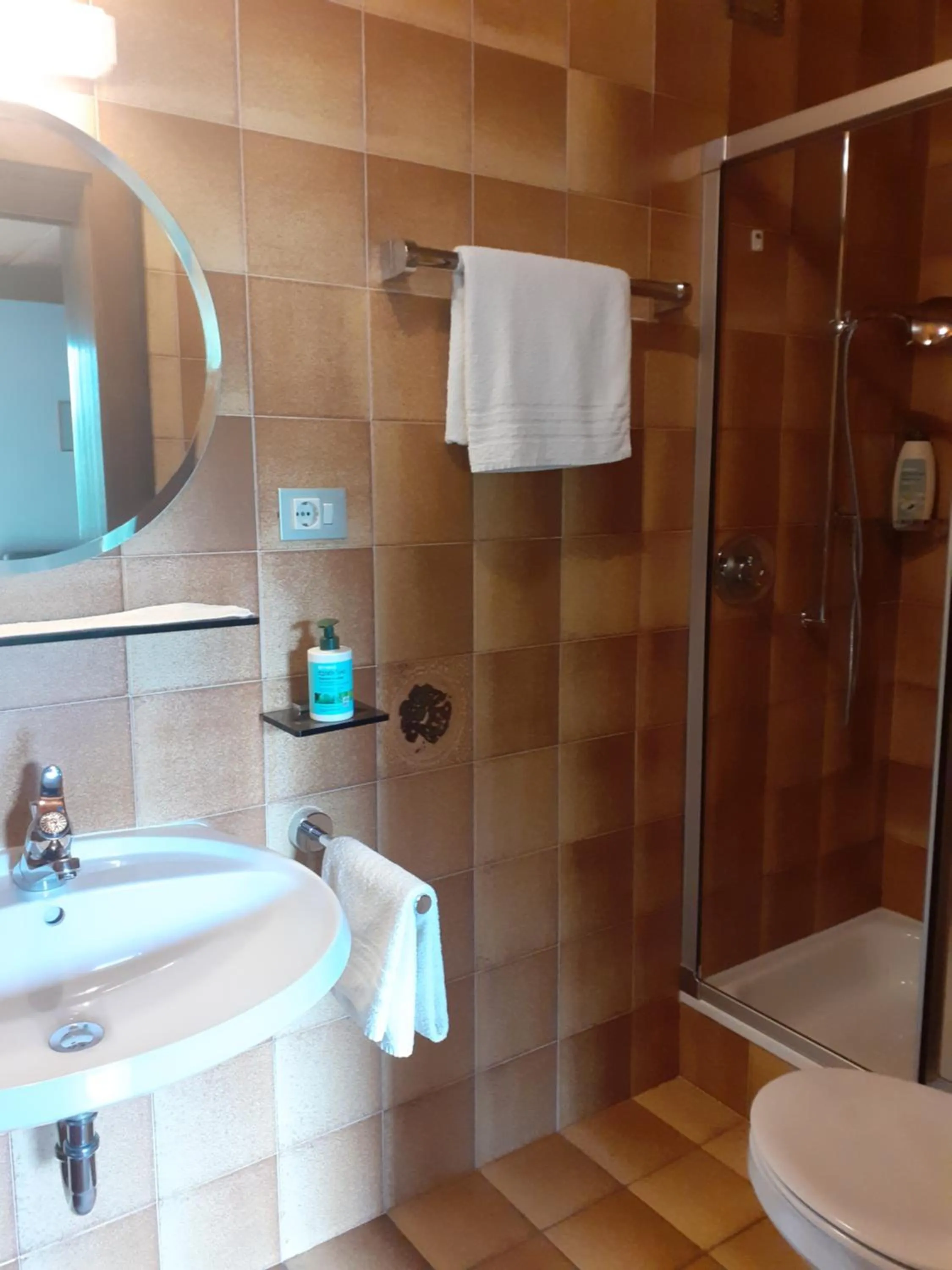 Bathroom in Residence Rienz