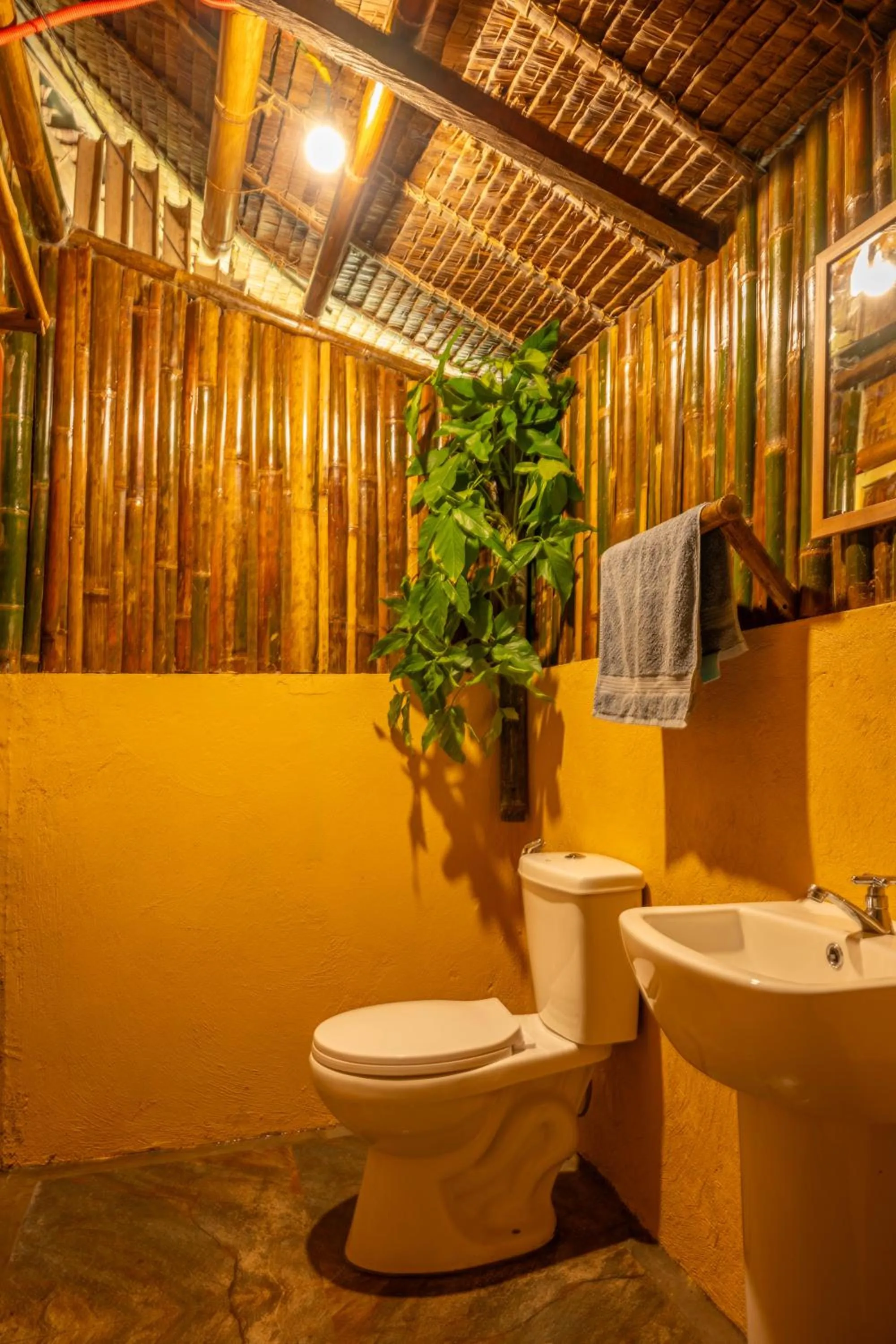 Water to Forest Ecolodge