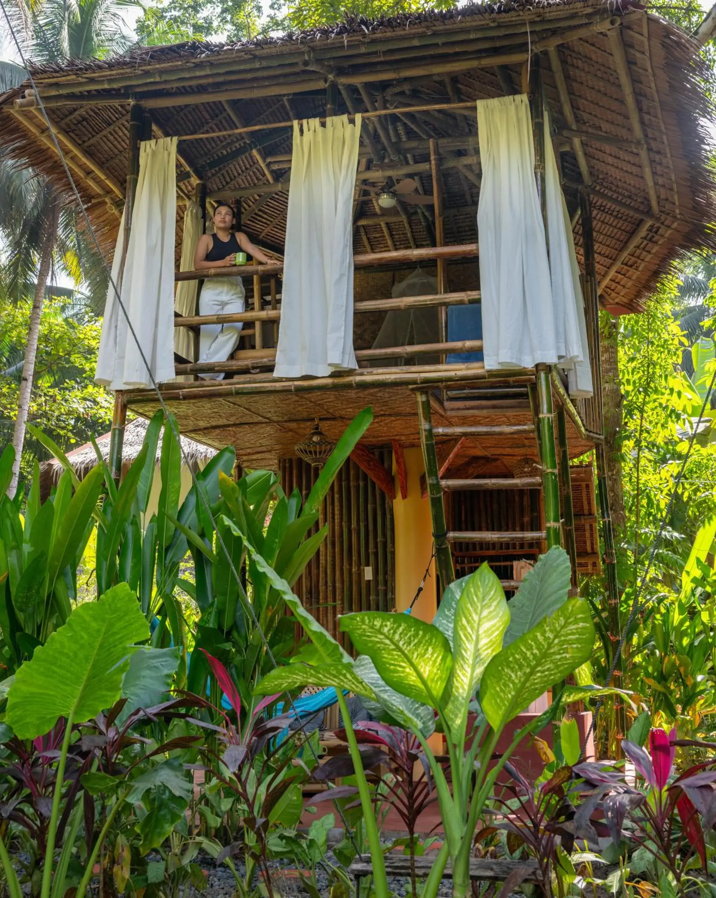 Superior Bungalow in Water to Forest Ecolodge Superior Bungalow in Water to Forest Ecolodge