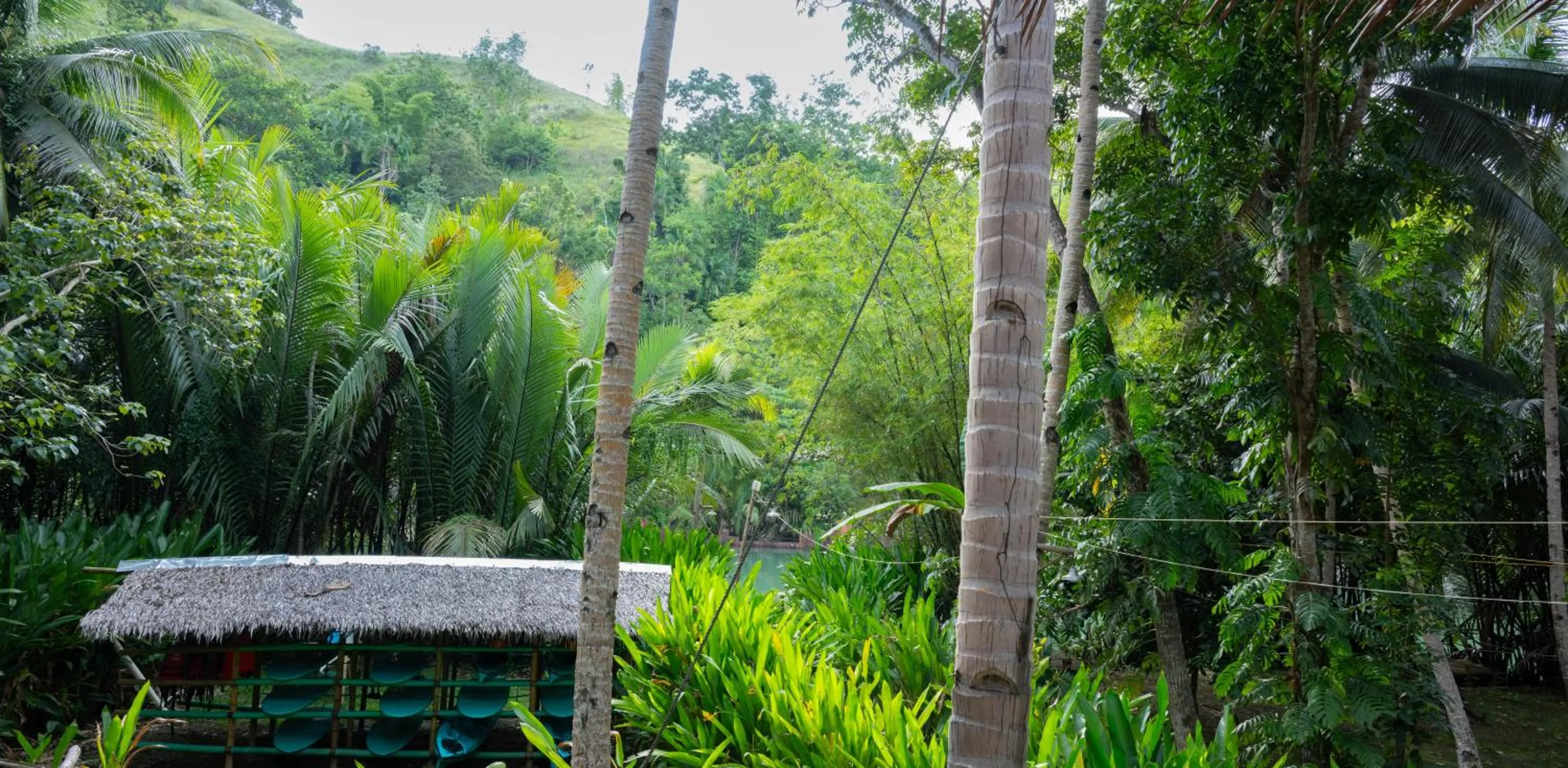 Water to Forest Ecolodge