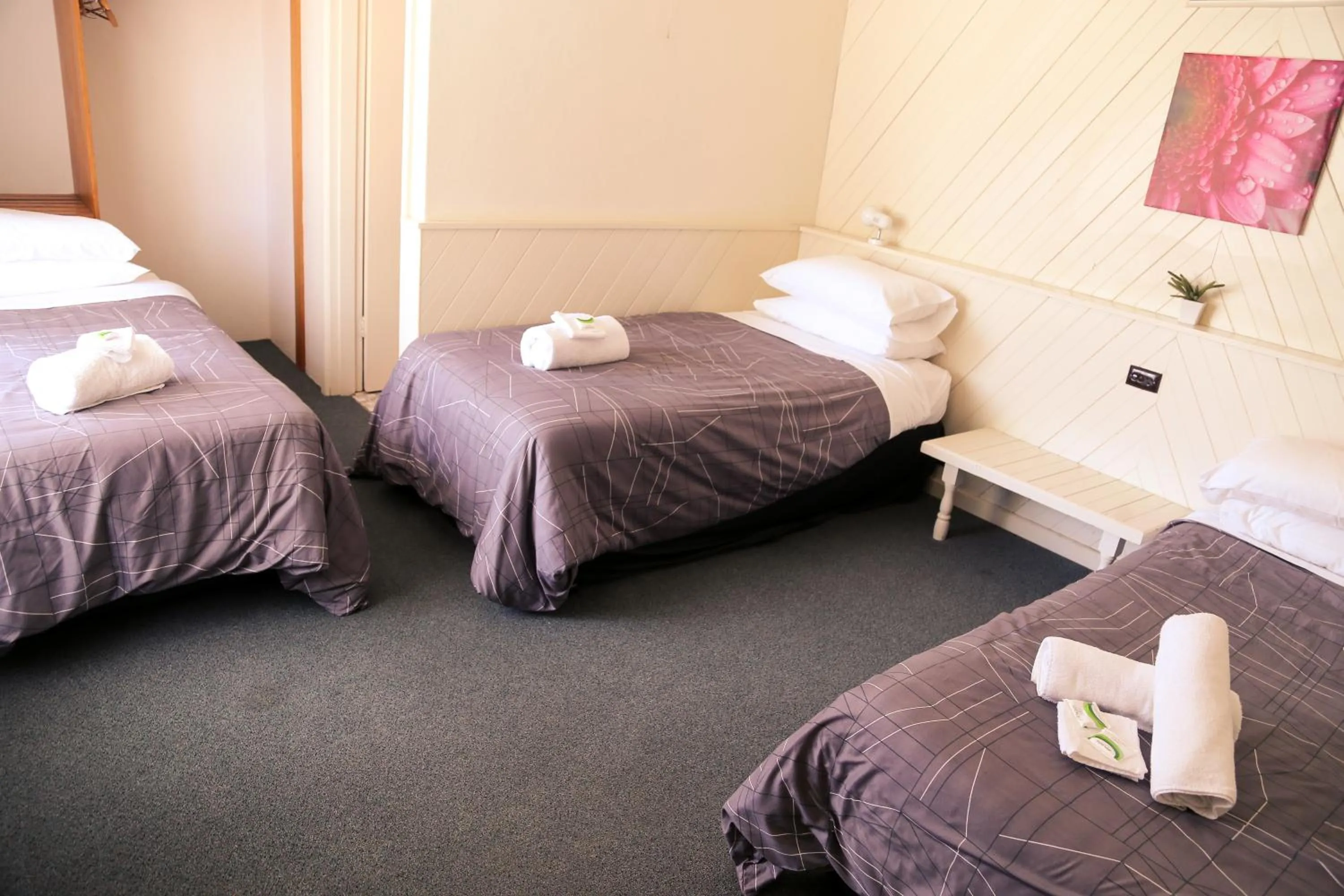 Bed in Great Western Motel