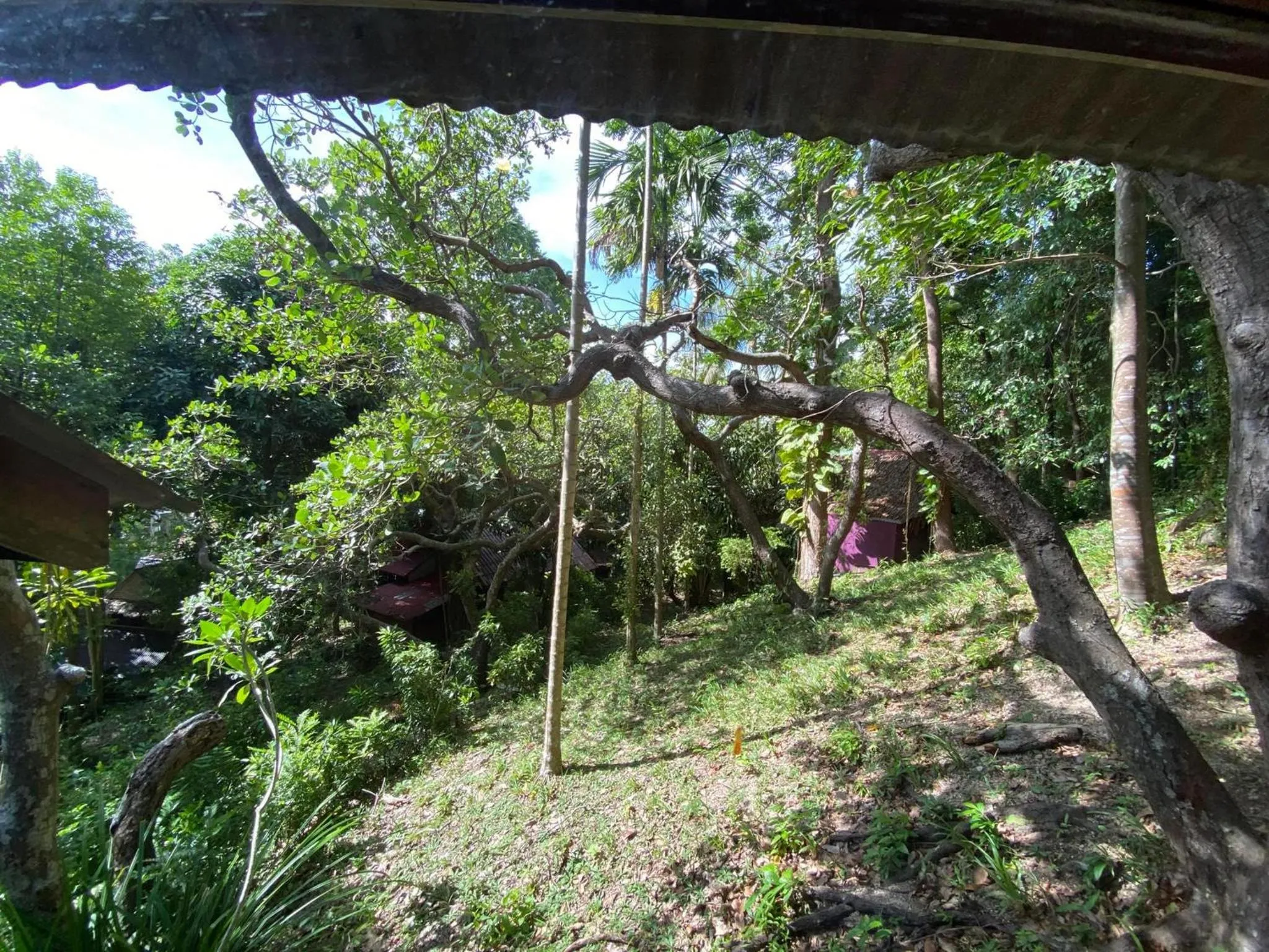 Sabai Corner Bungalows - SHA Extra Plus