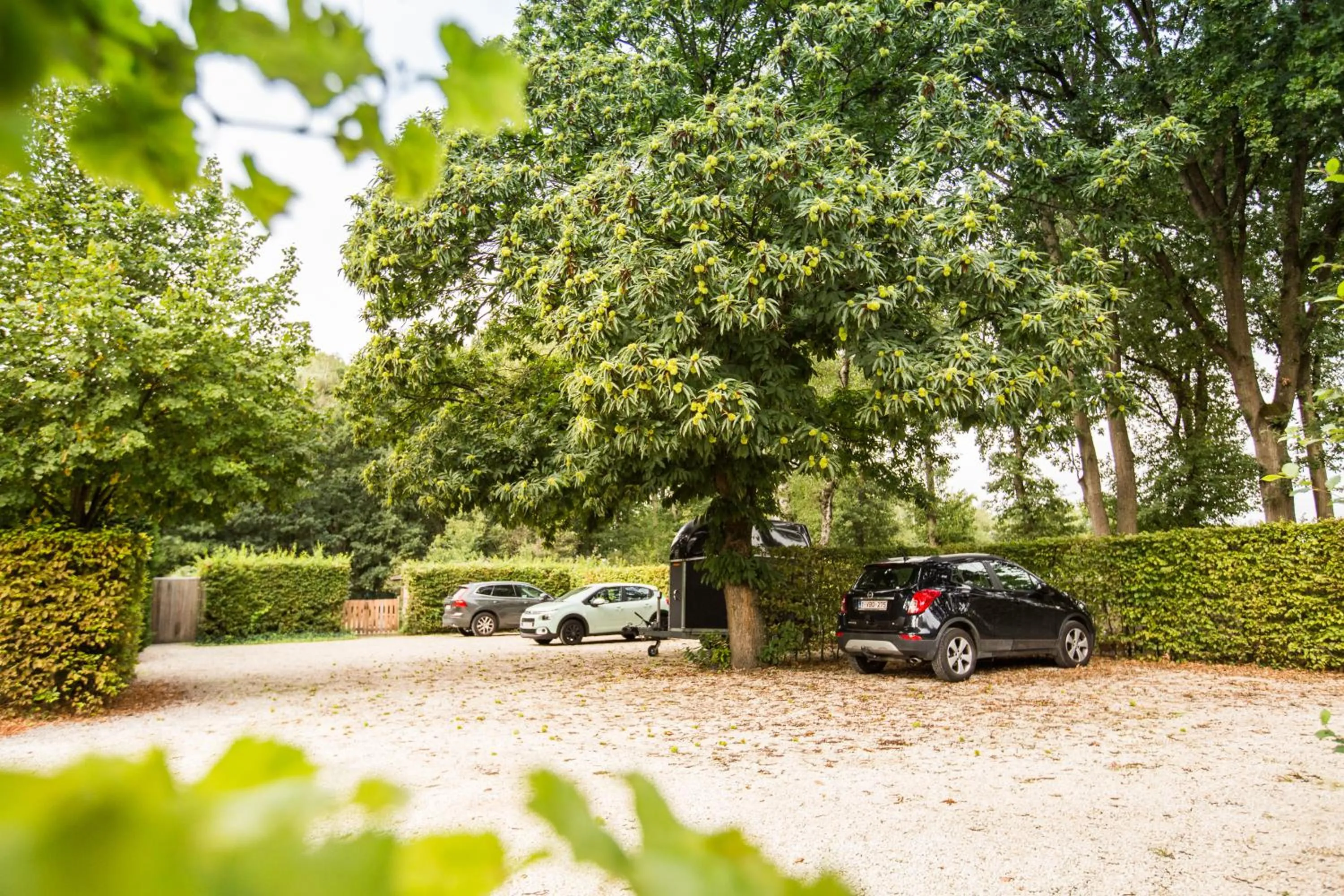 Parking in Wellness Hasselt B&B