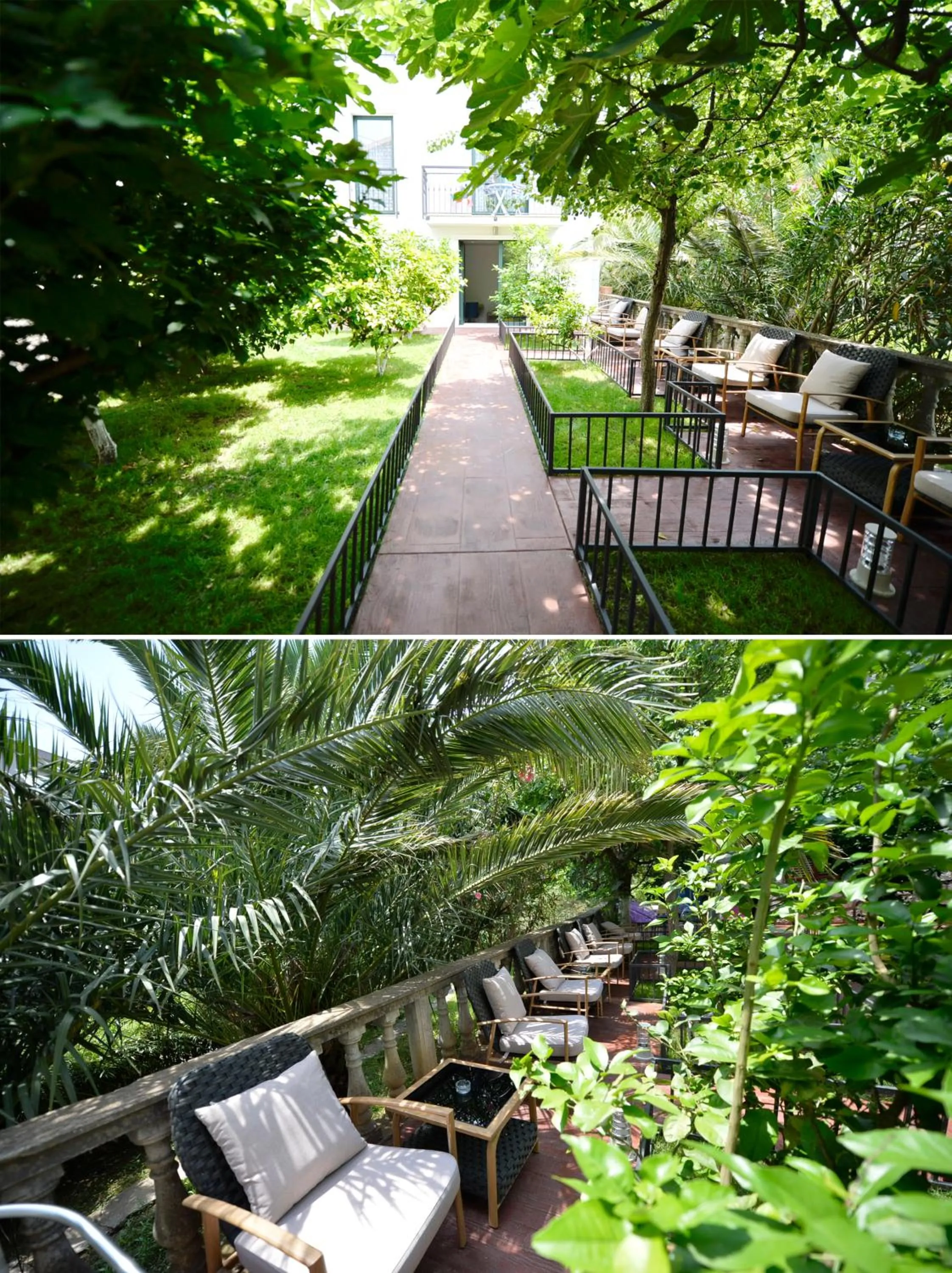Garden in Hotel Alkima
