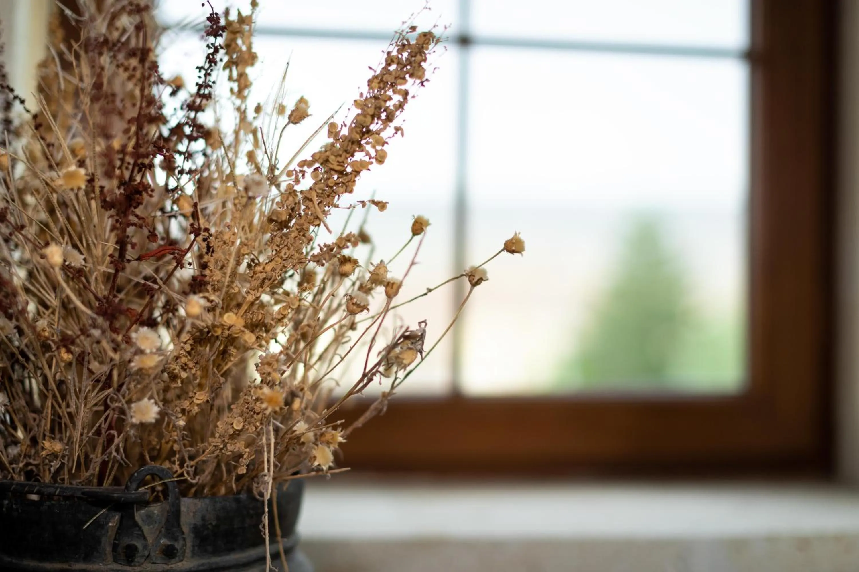 Property building in Esens Stone House