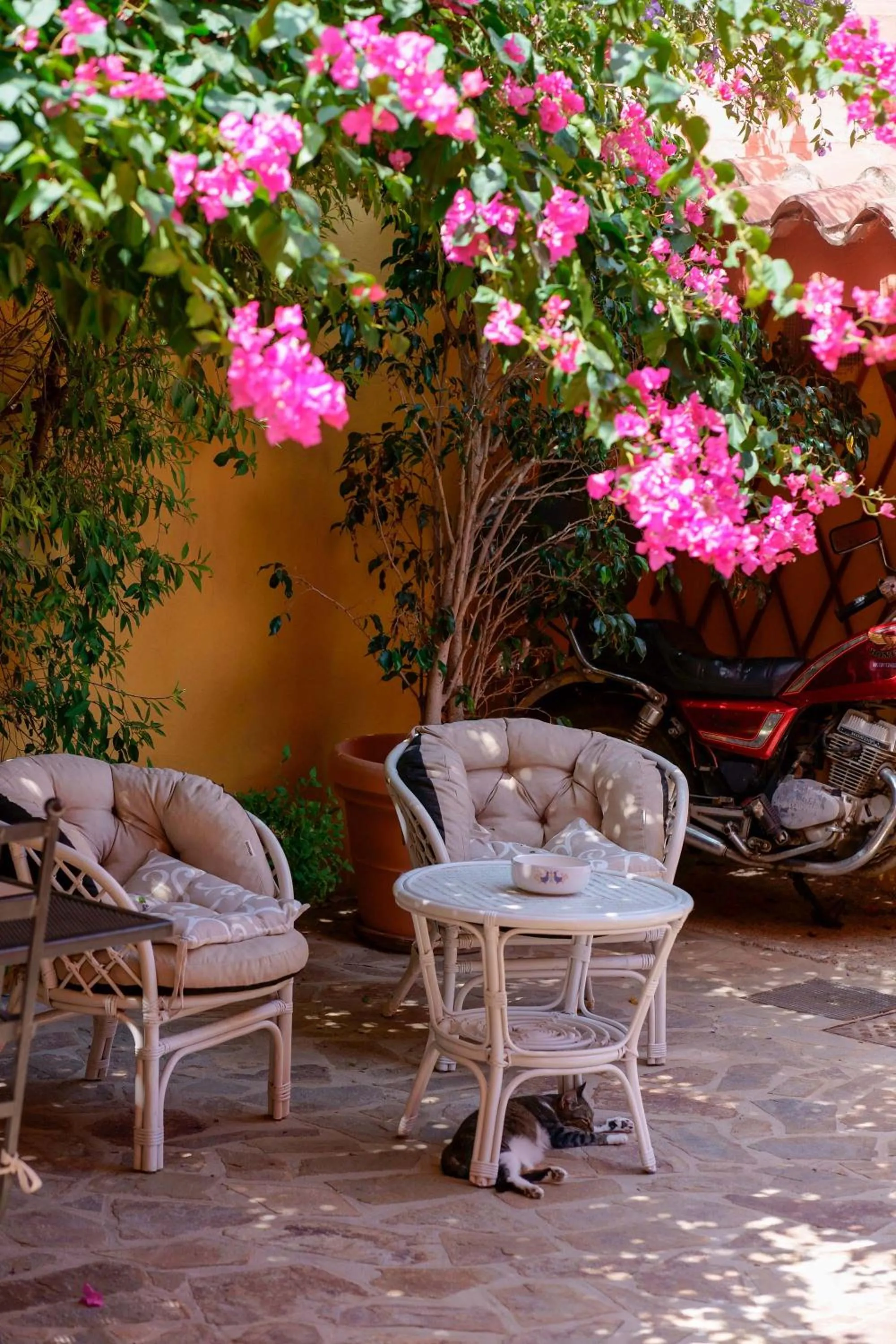 Garden view in Il Piccolo Giardino rooms & breakfast