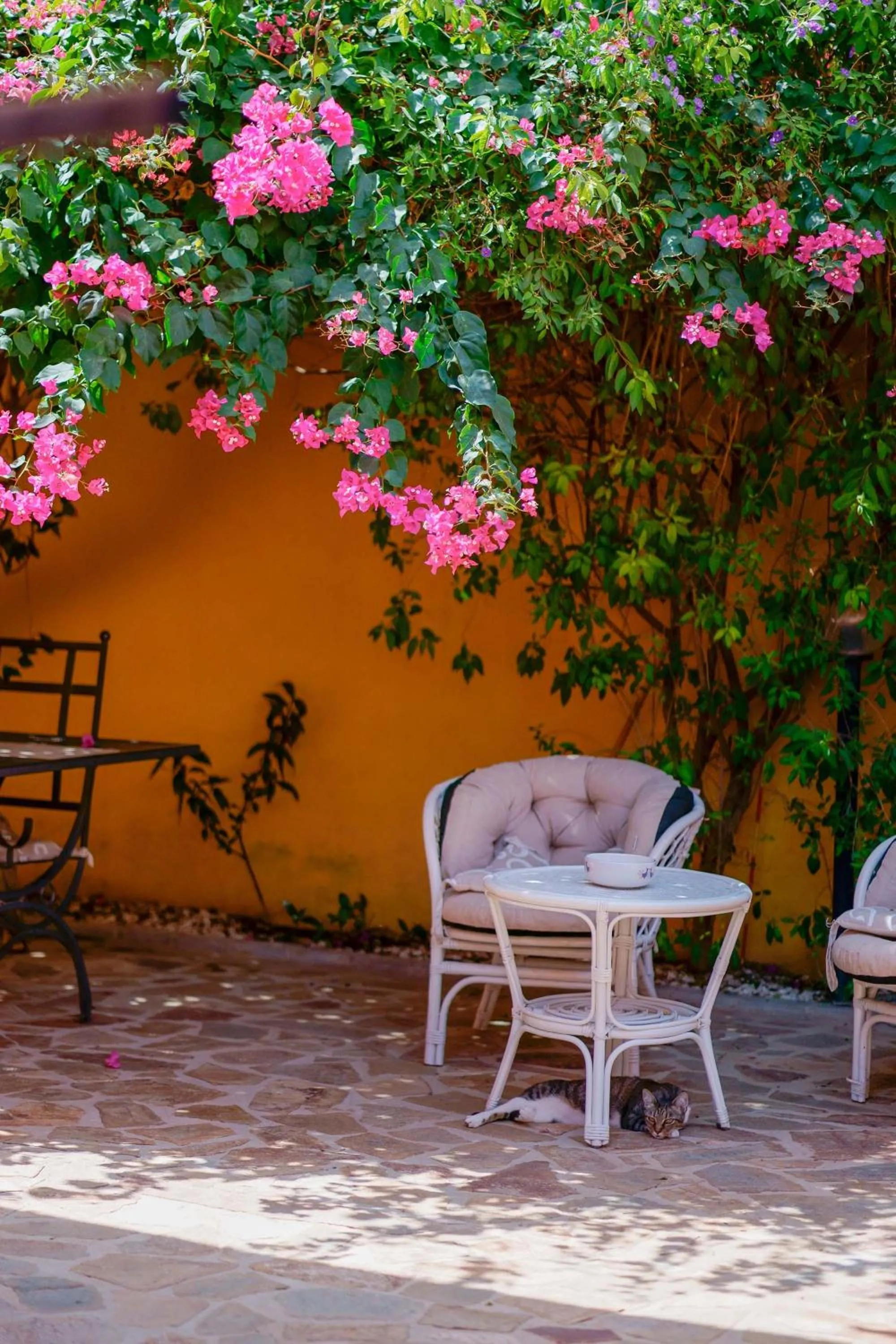 Garden in Il Piccolo Giardino rooms & breakfast