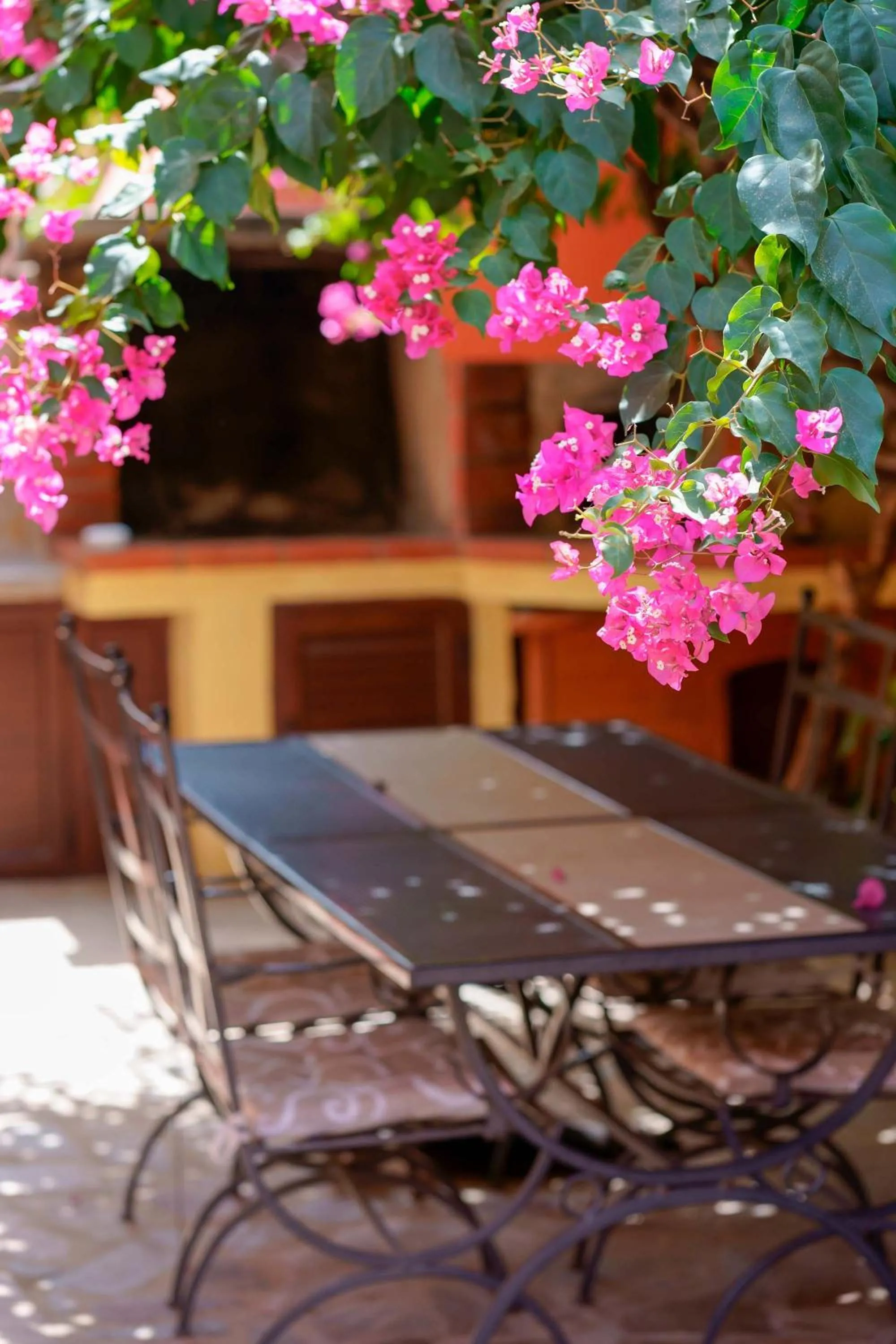 Garden in Il Piccolo Giardino rooms & breakfast