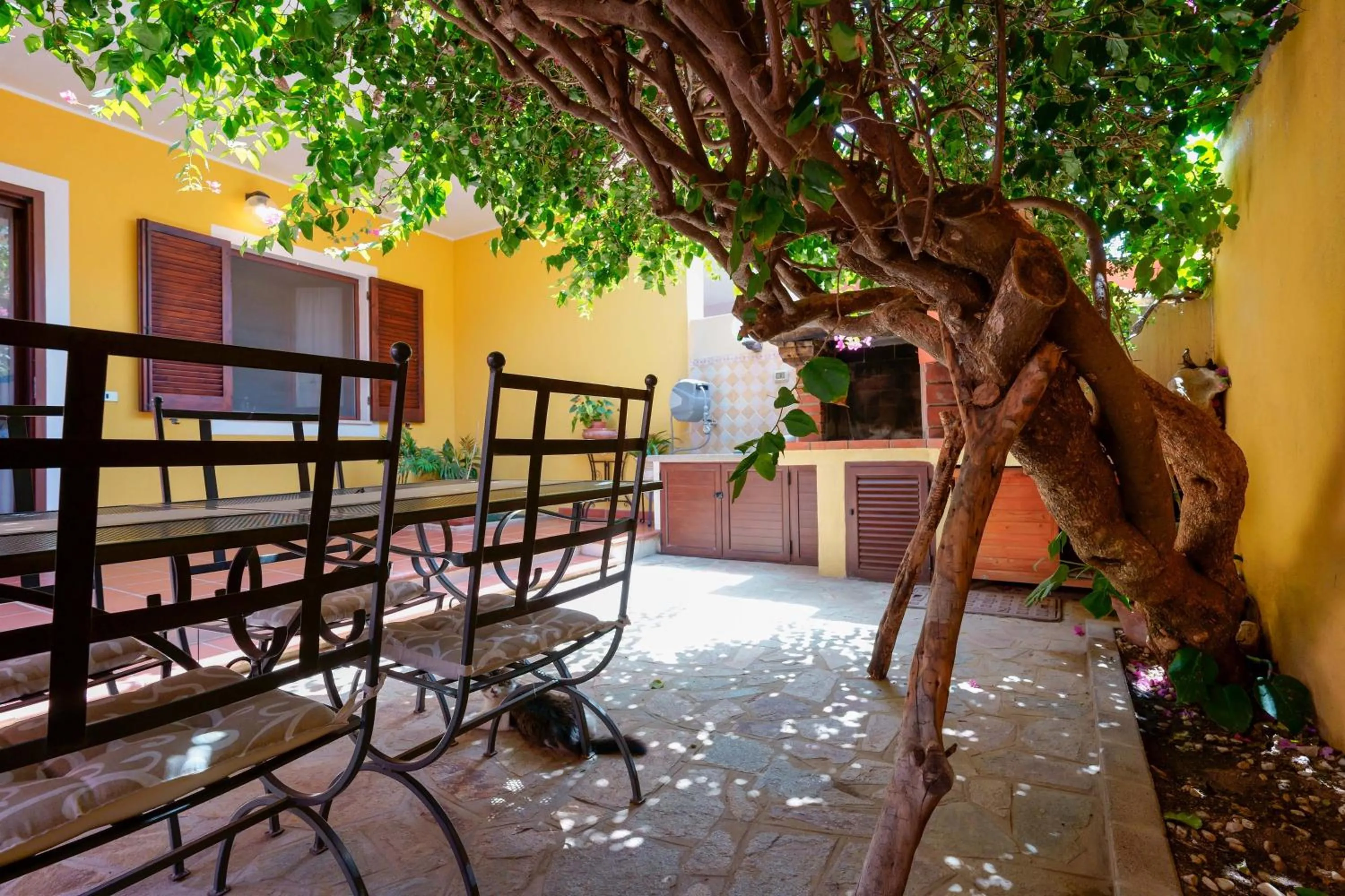 Garden in Il Piccolo Giardino rooms & breakfast