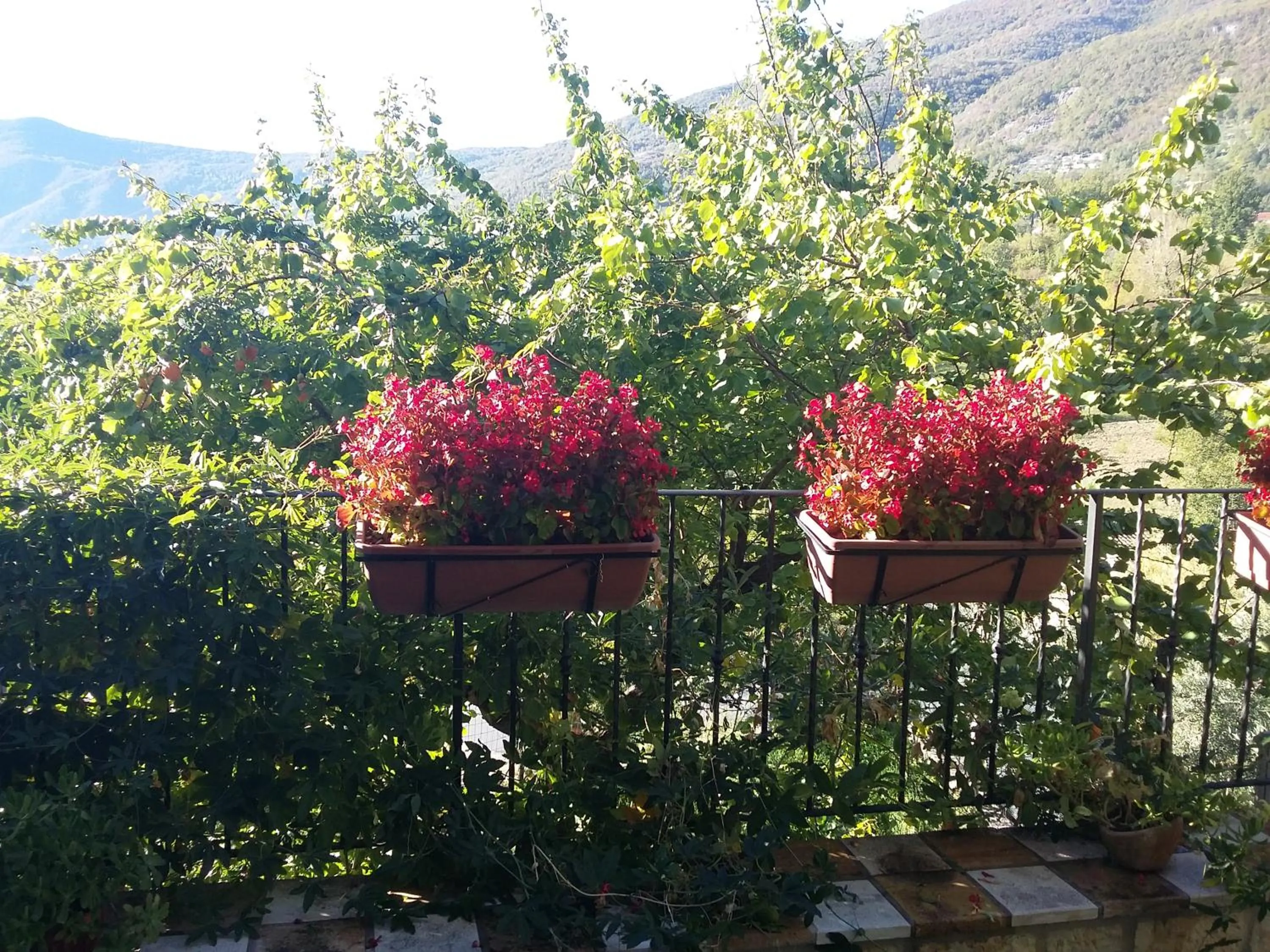 Property building in Cusanarella Mia