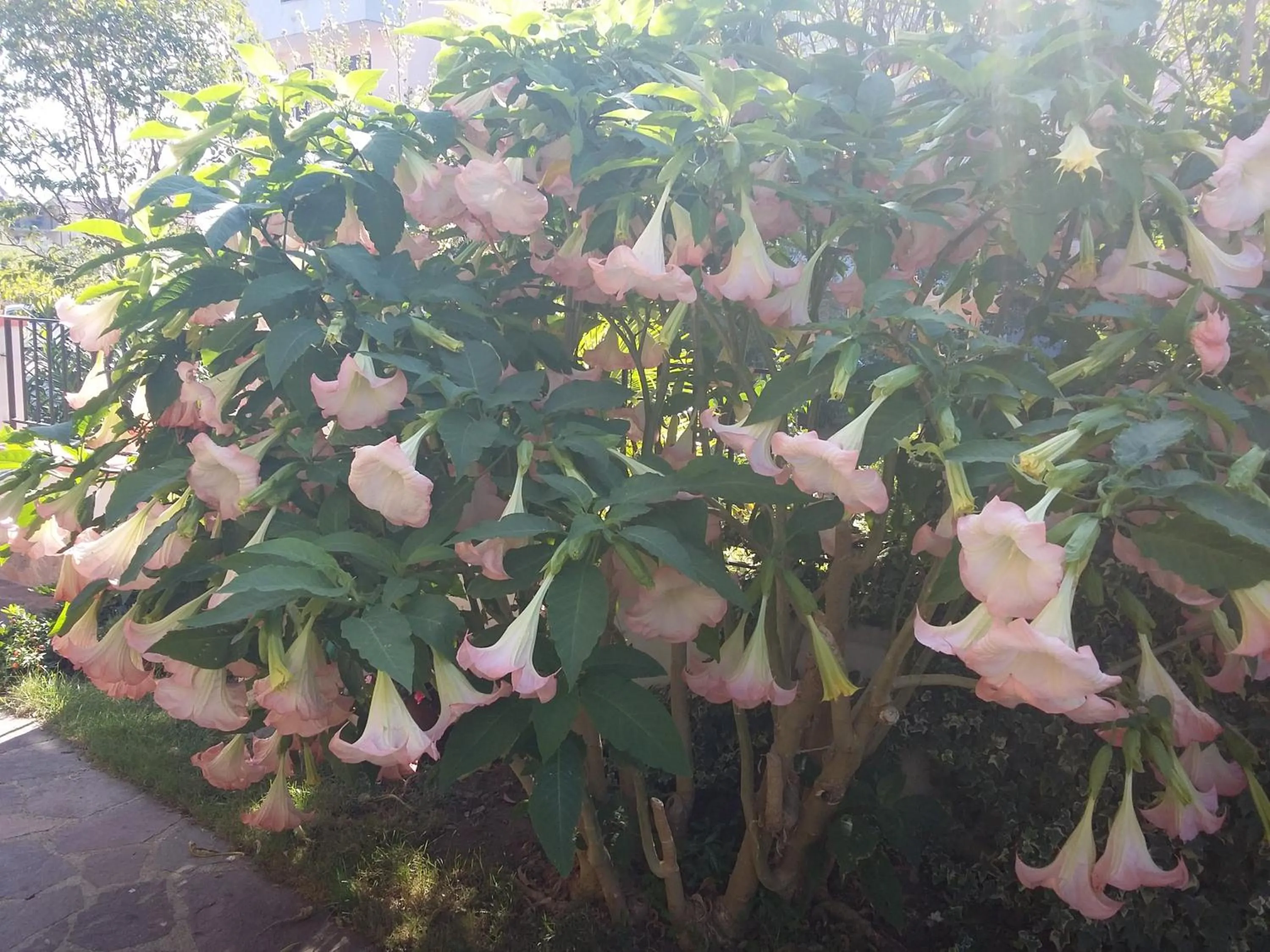 Property building in Cusanarella Mia