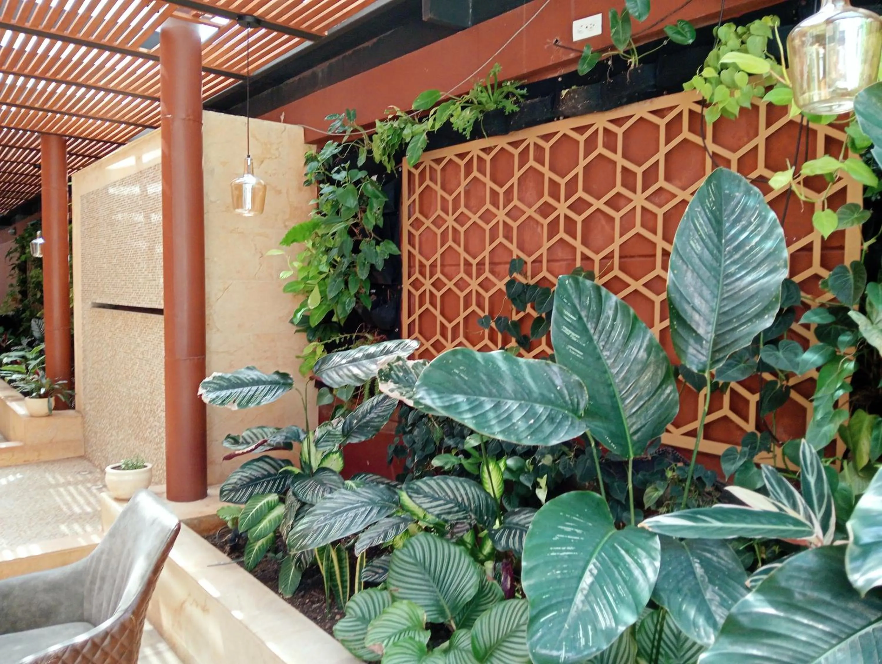 Garden in Hotel Lomas 10 Medellin