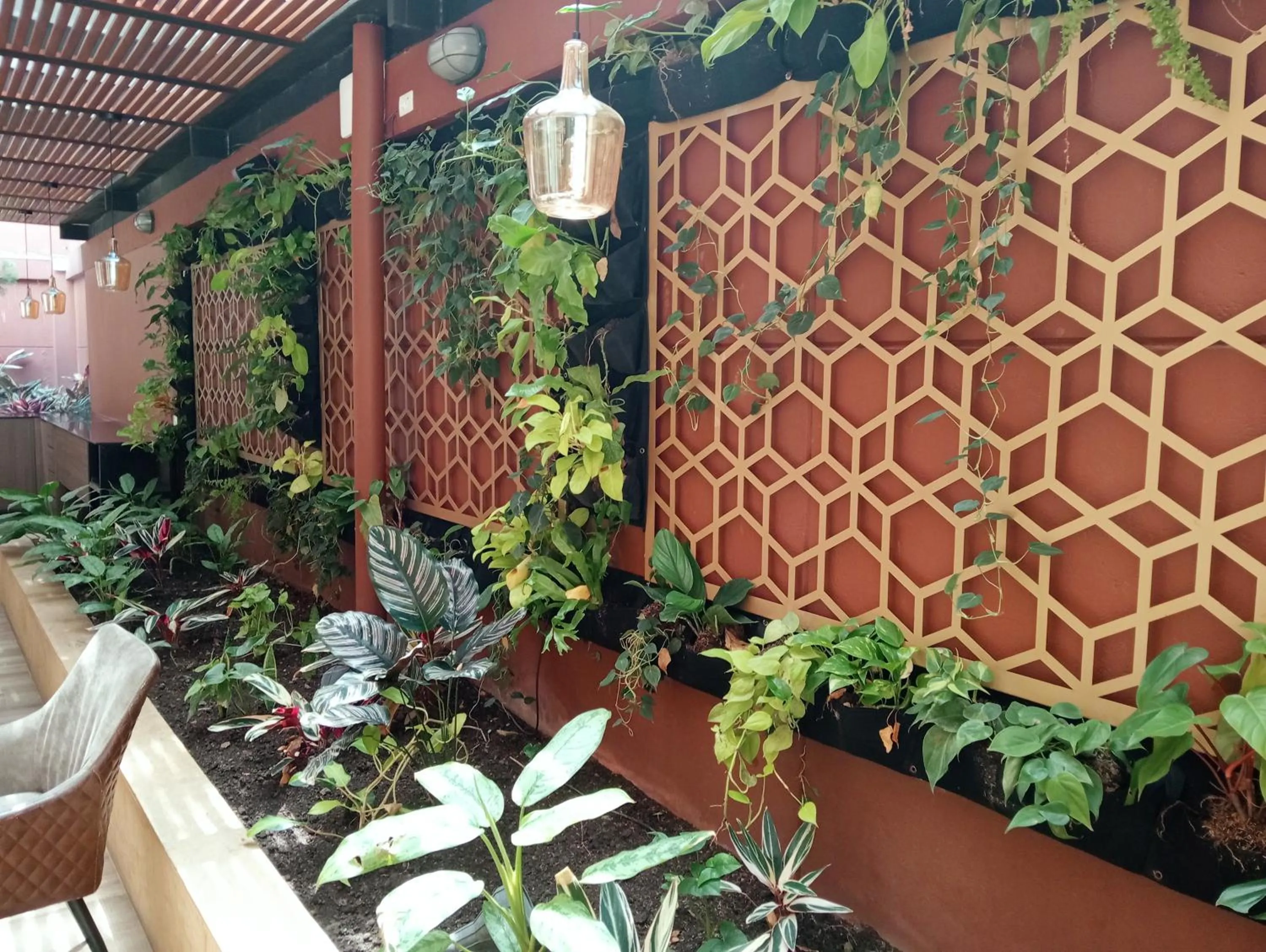 Garden in Hotel Lomas 10 Medellin