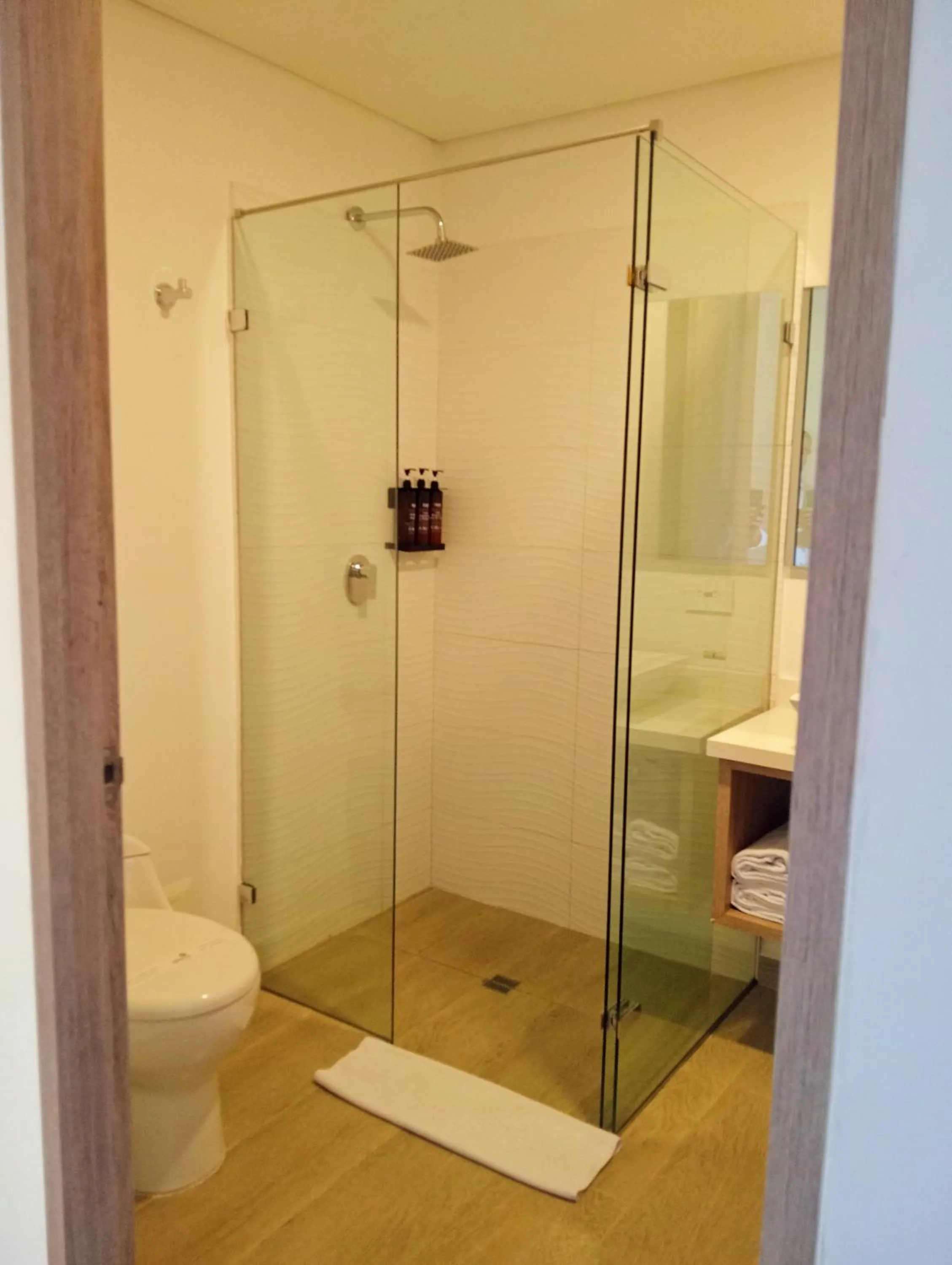 Bathroom in Hotel Lomas 10 Medellin